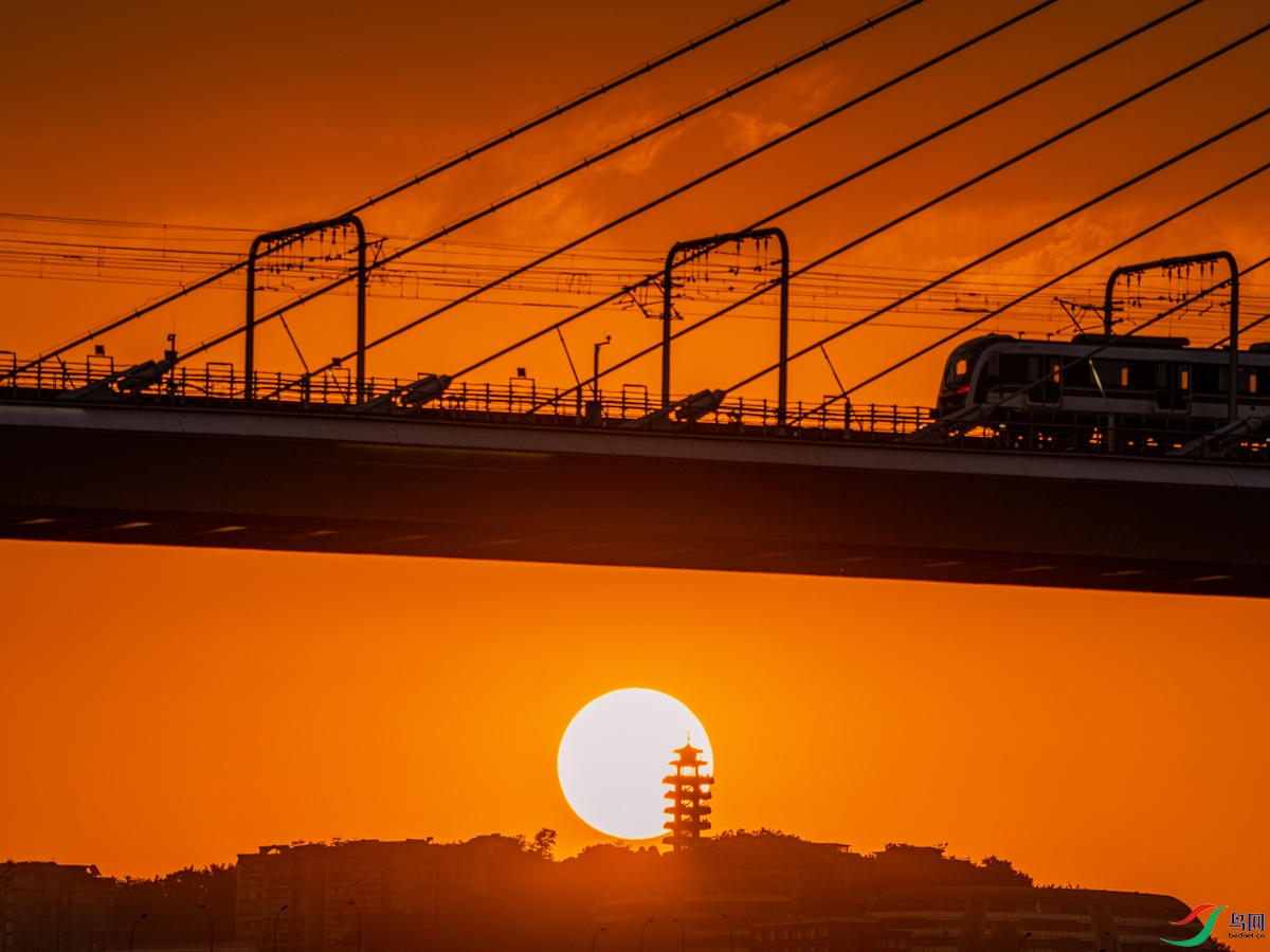 �����ϼ��Ŵ��ŷɻ���졢��԰�Ӵ�����������Ƶ