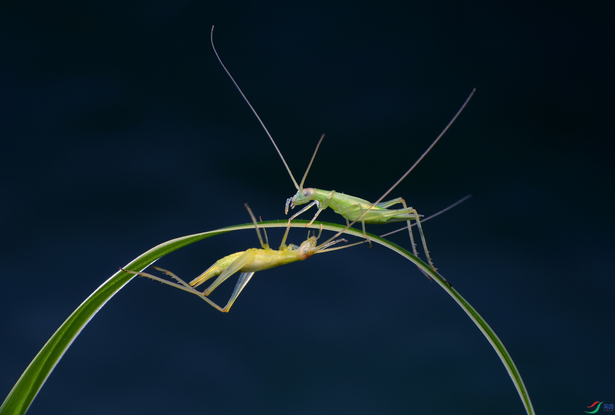 DSC_0895 ����.jpg