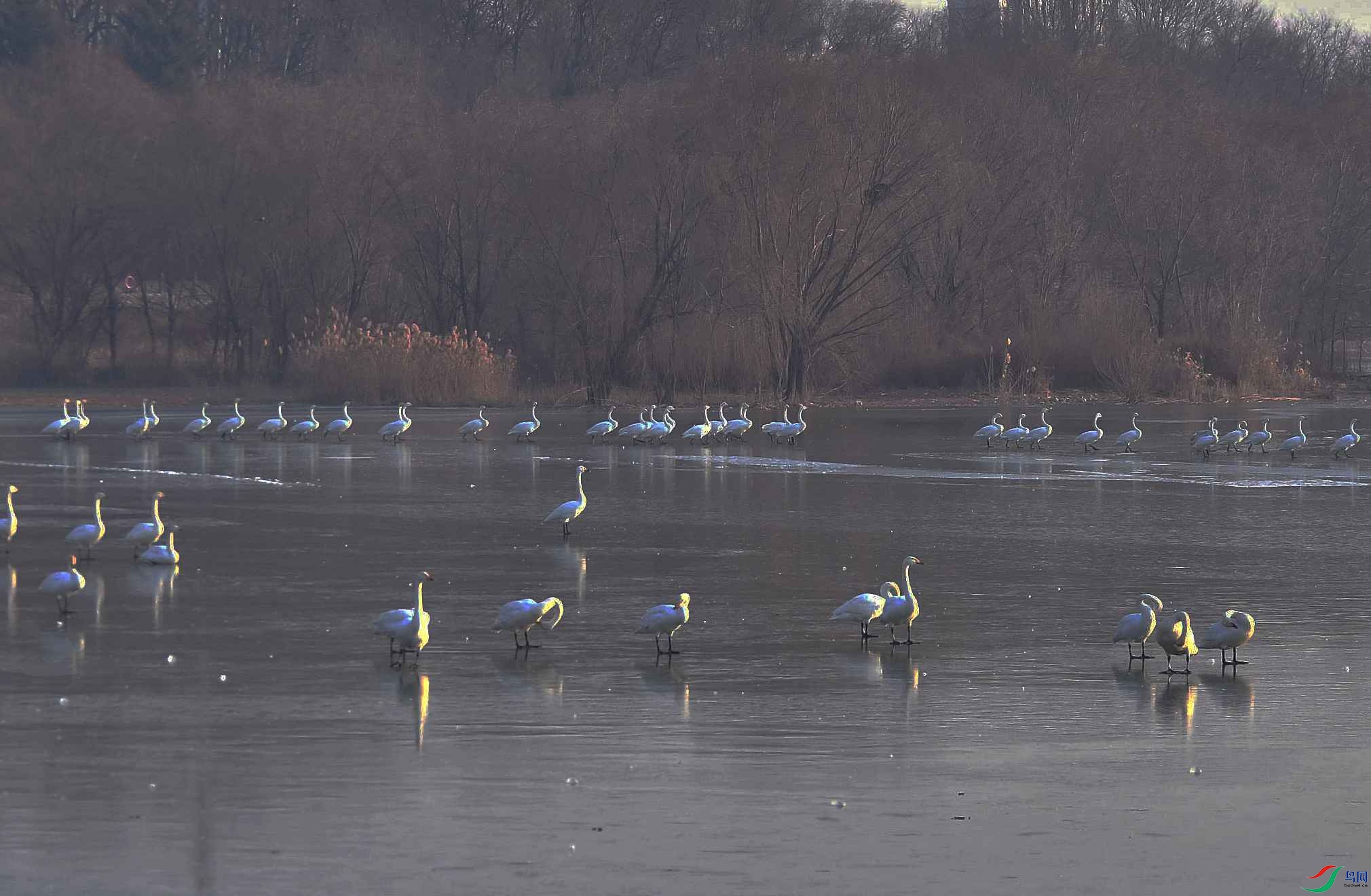 DSC_2775_����.jpg