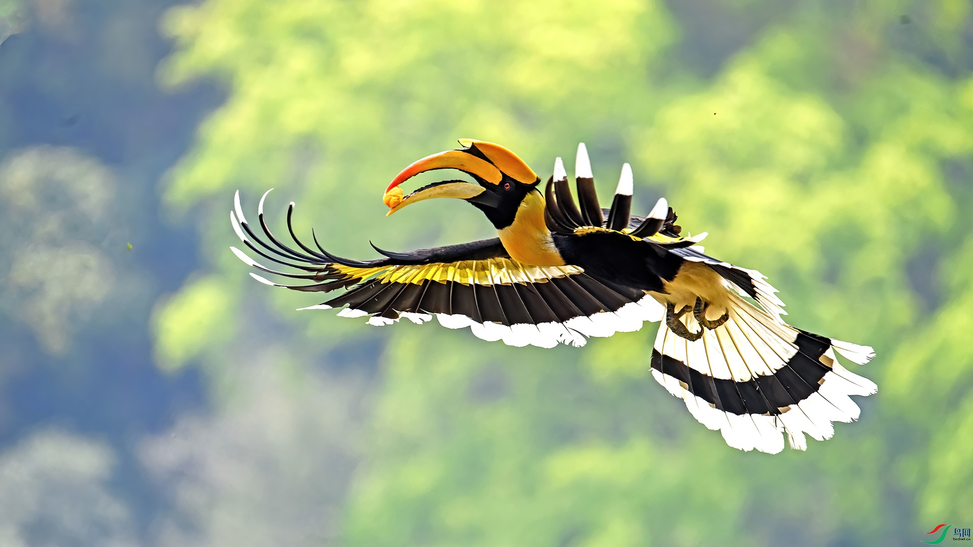 _DSC9150 ����-.jpg