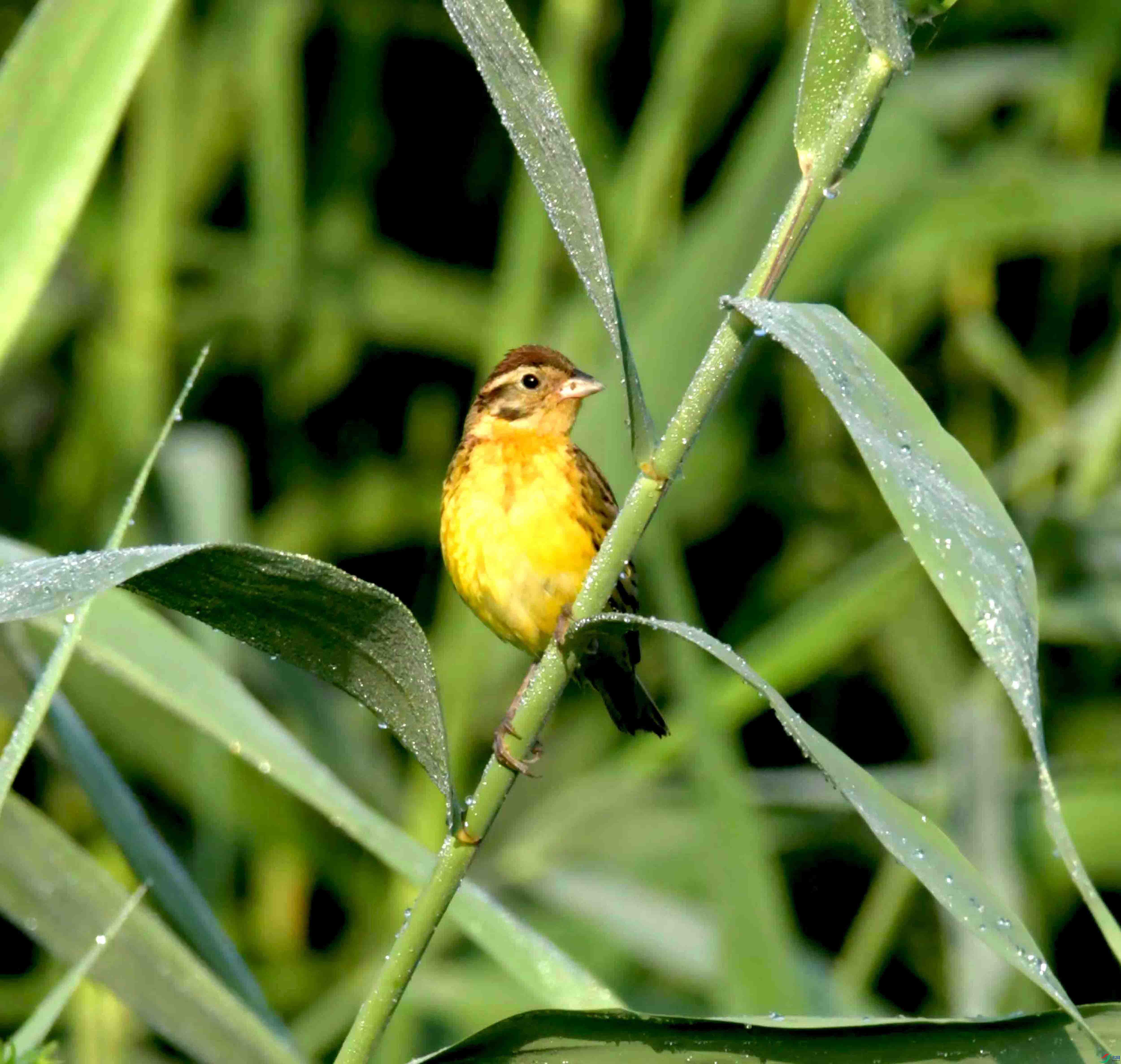DSC_3256.JPG