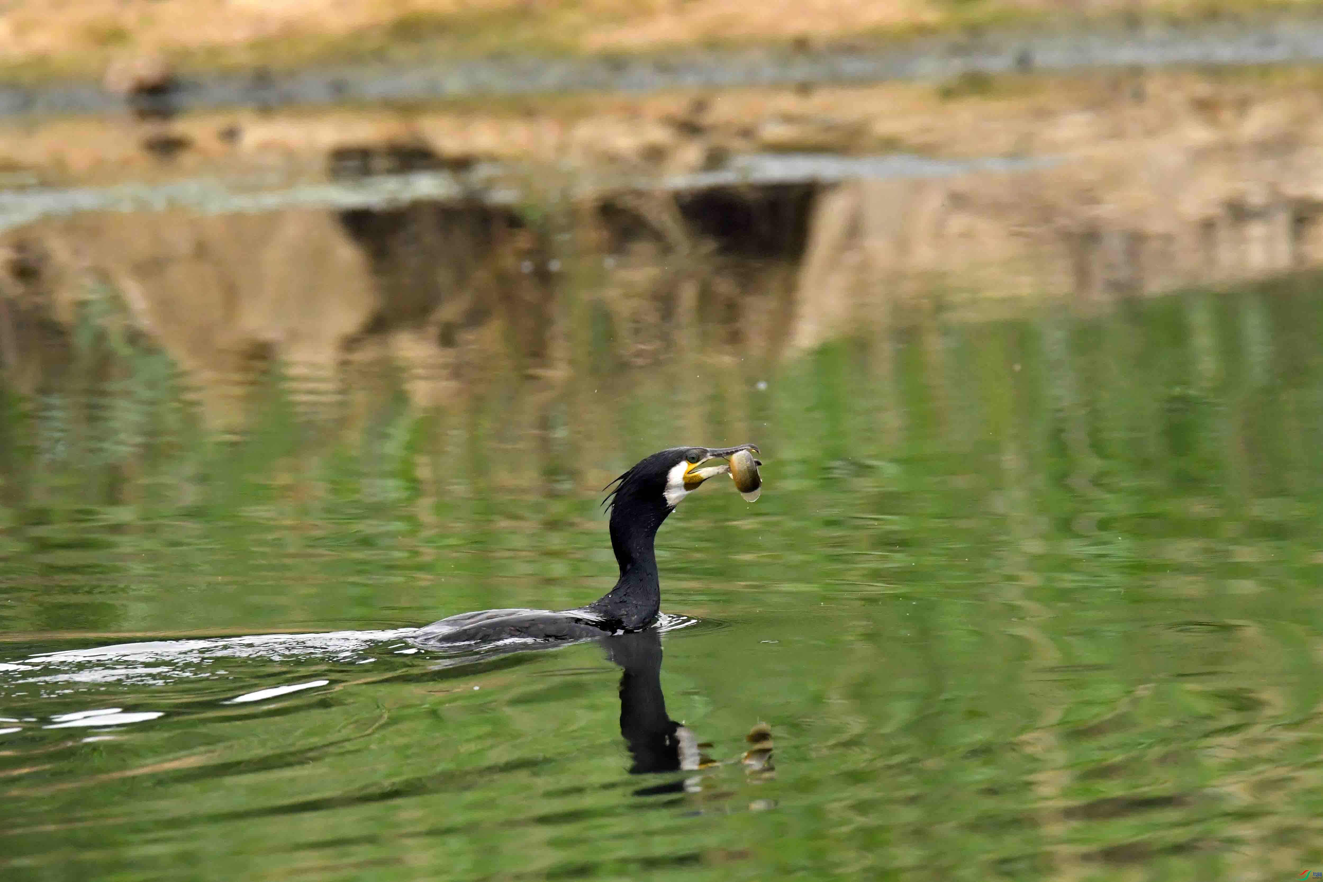 DSC_9859.JPG