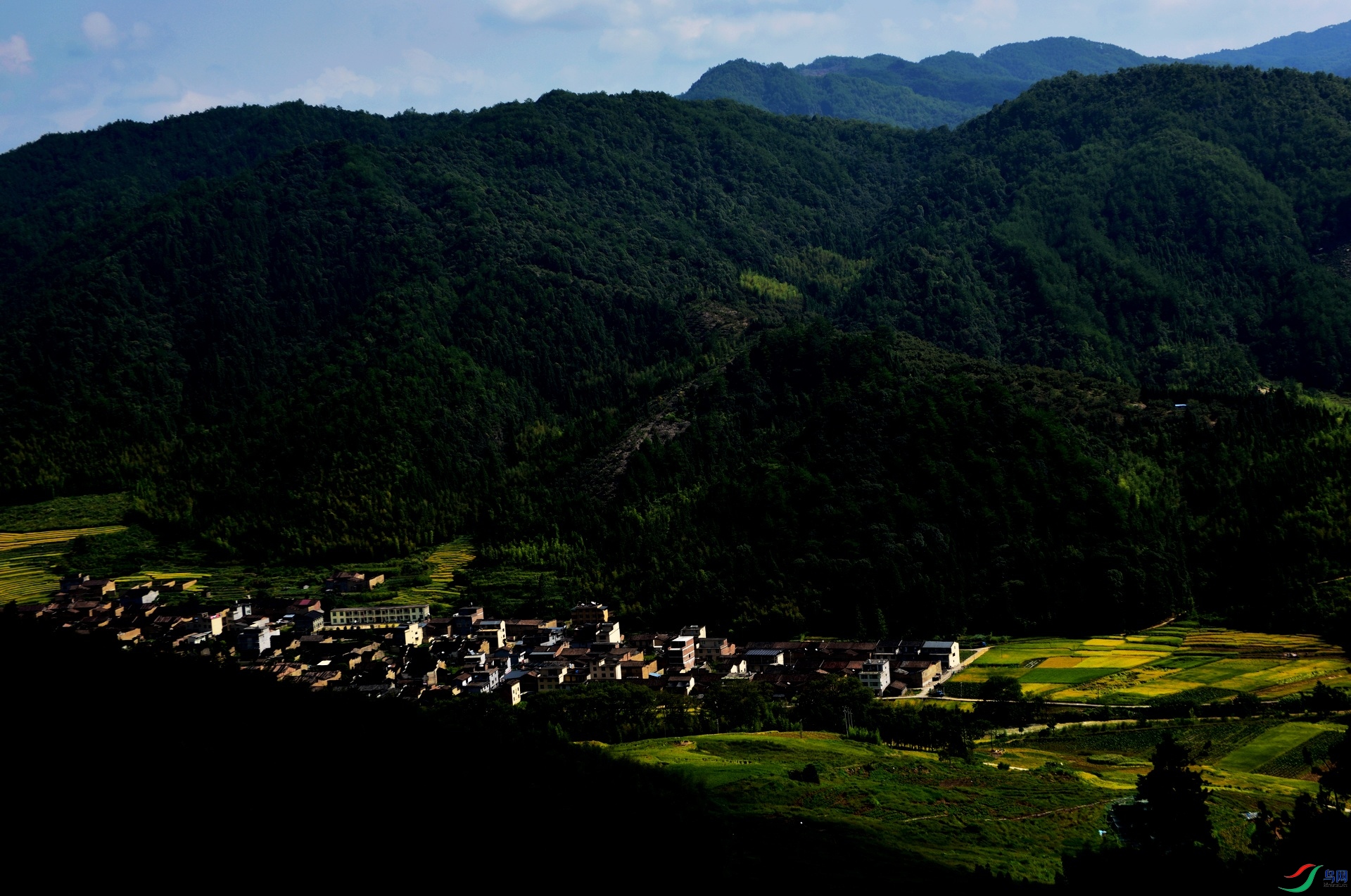 D8I_2900.jpg