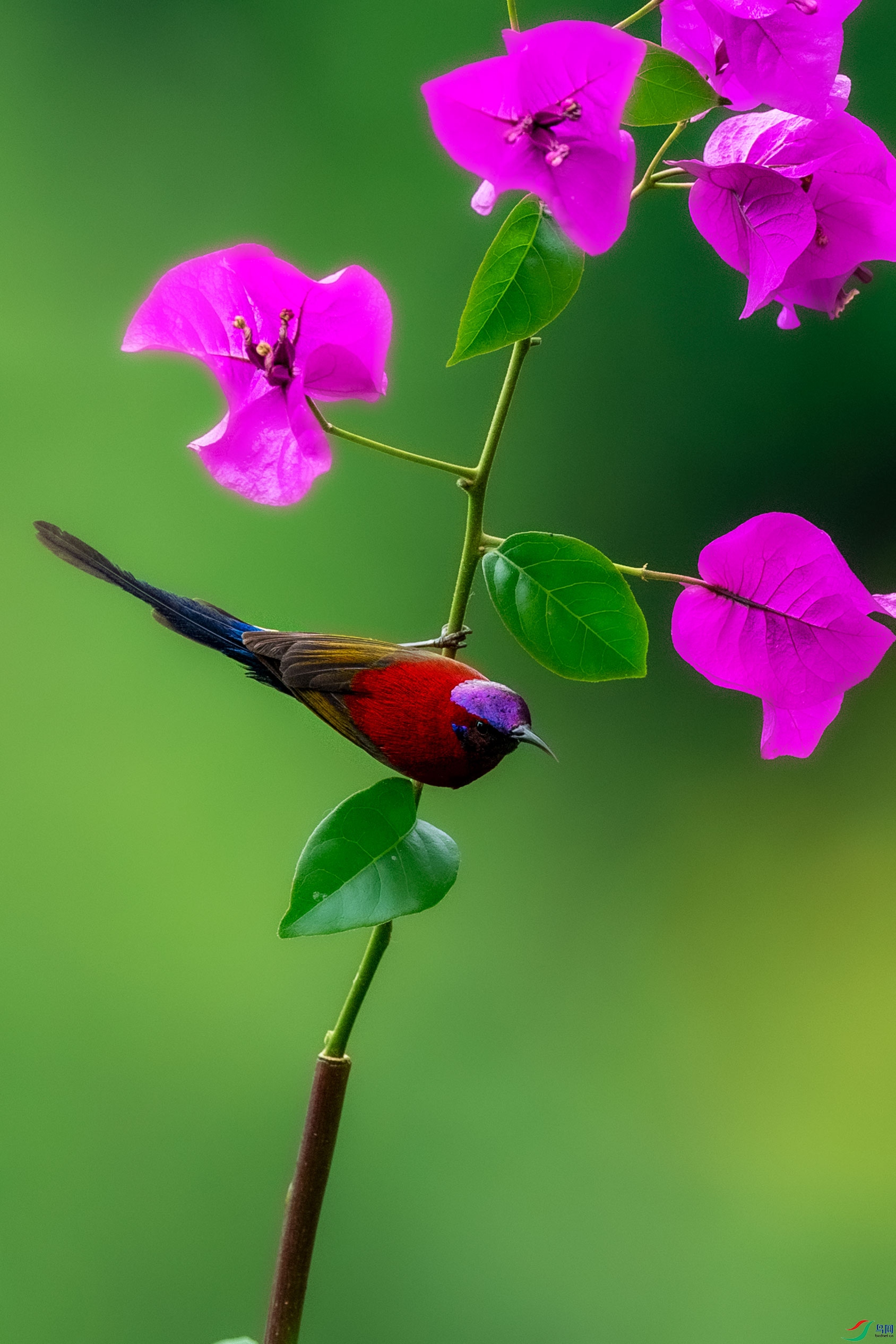 AAE_0081.jpg