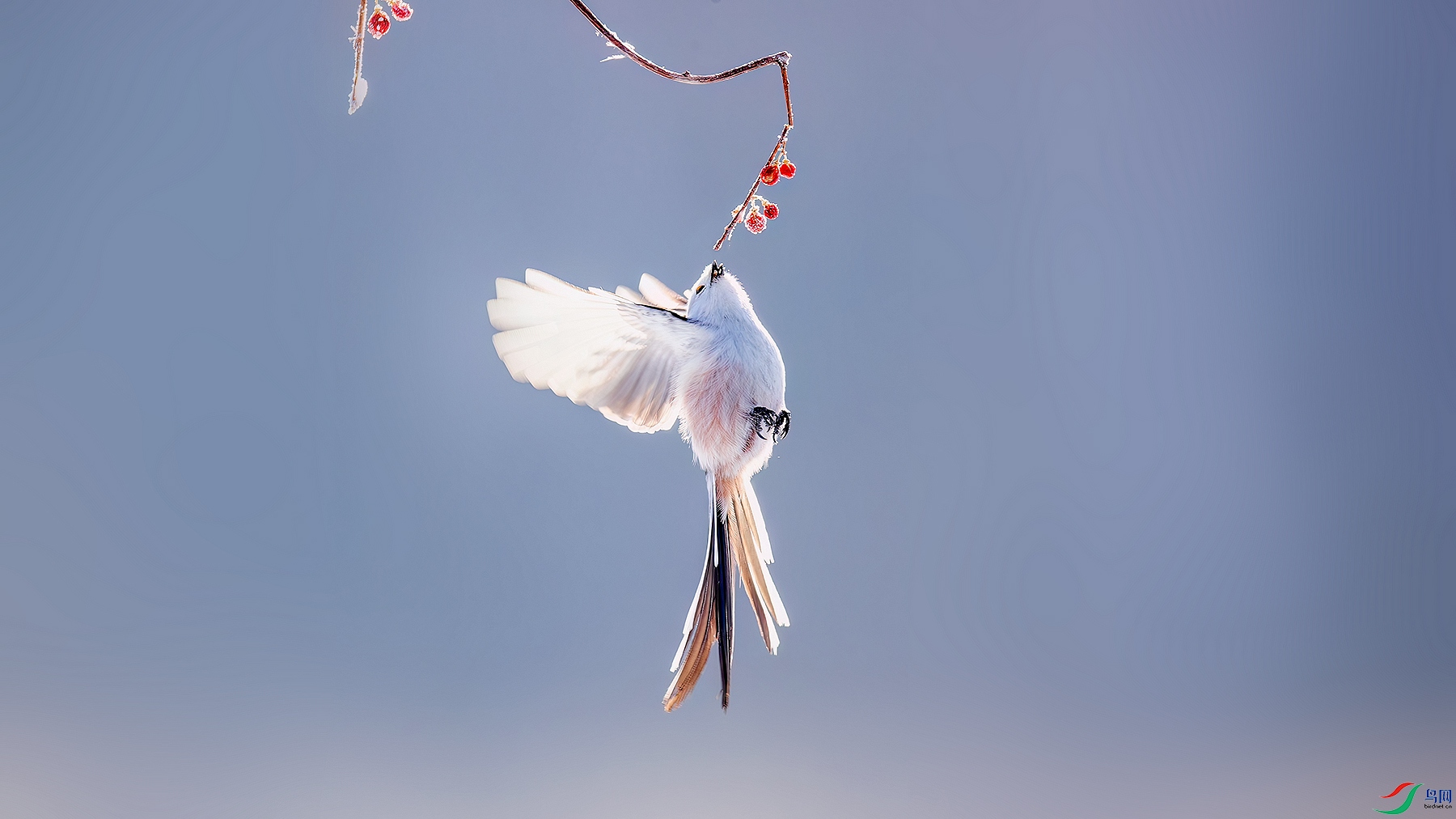 _K1I1095-����ǿ-NR.jpg