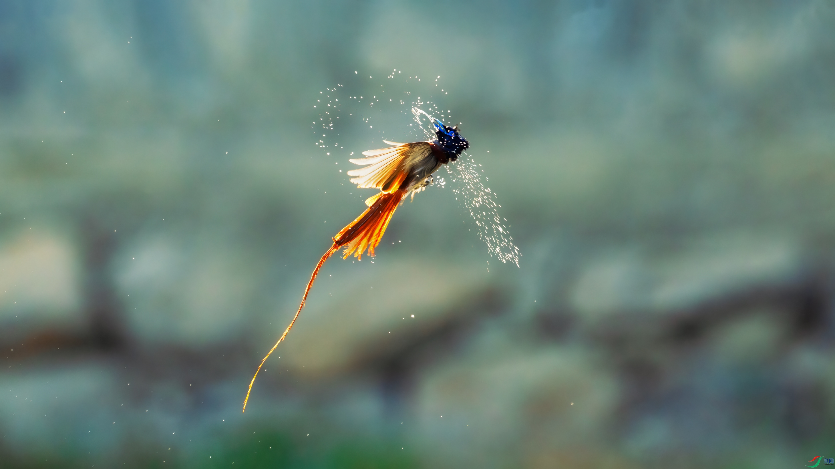 ������ ������ ��־����.jpg