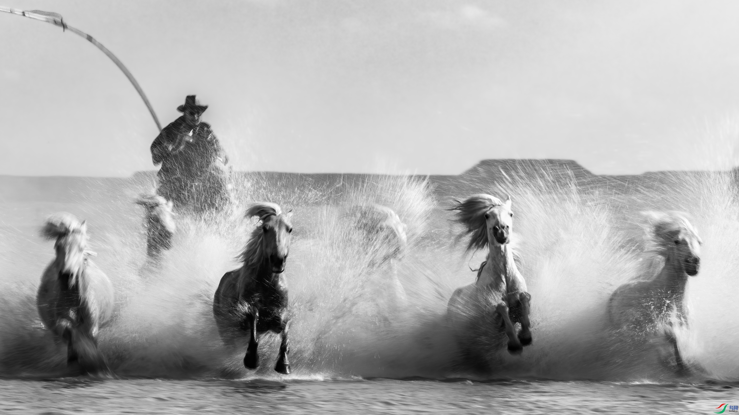 ������ ��̤ˮ��  ��־����.jpg