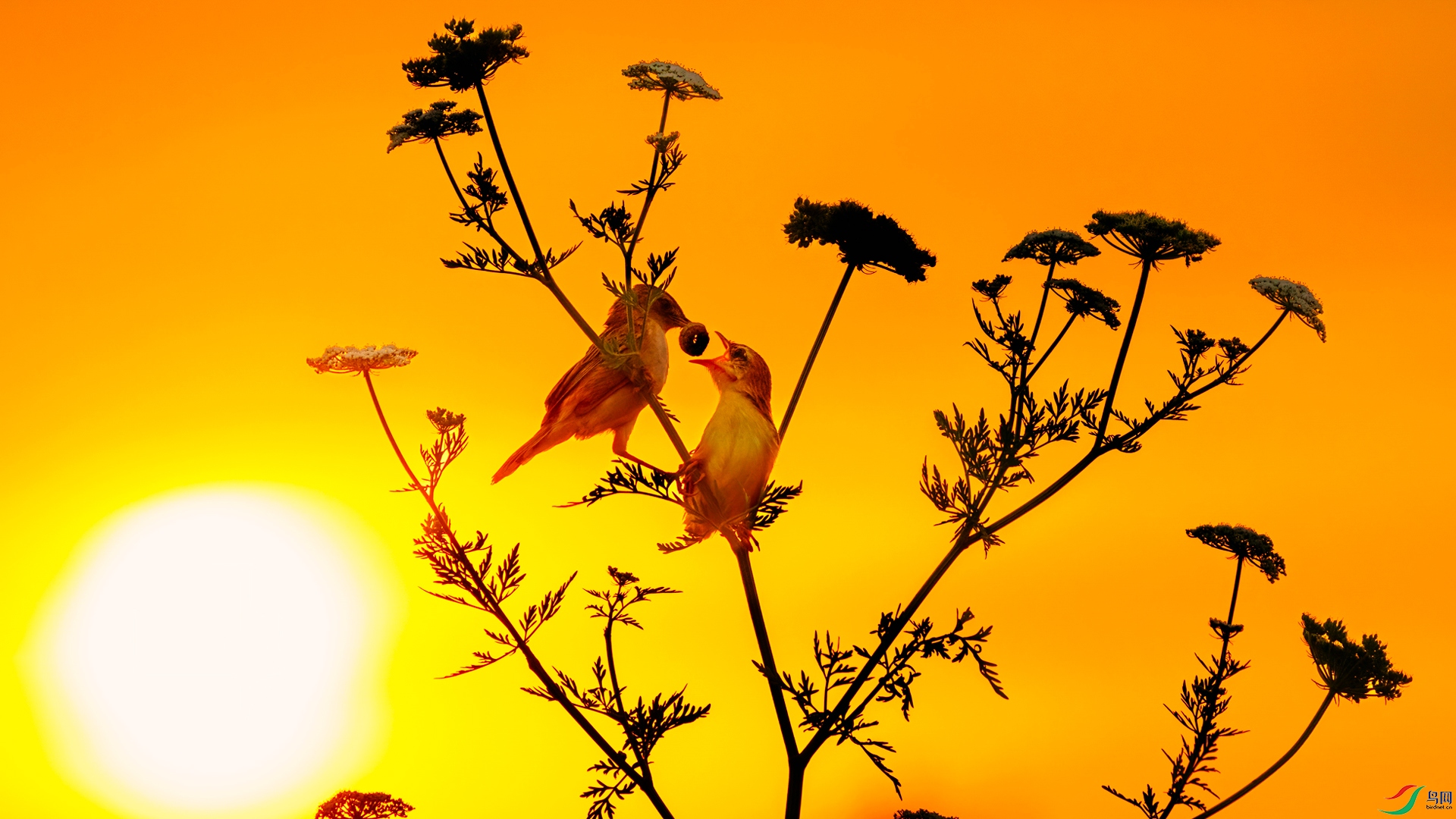 ������ ĸ����� ��־����.jpg