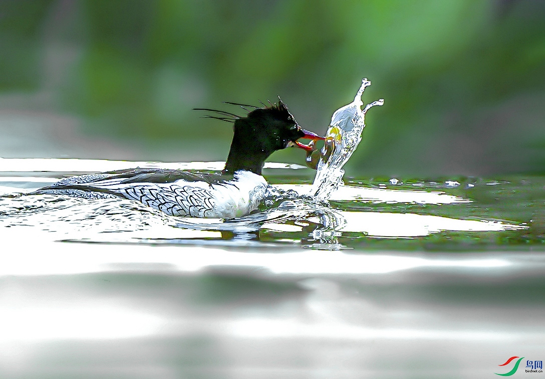 DSC05591 ����.jpg