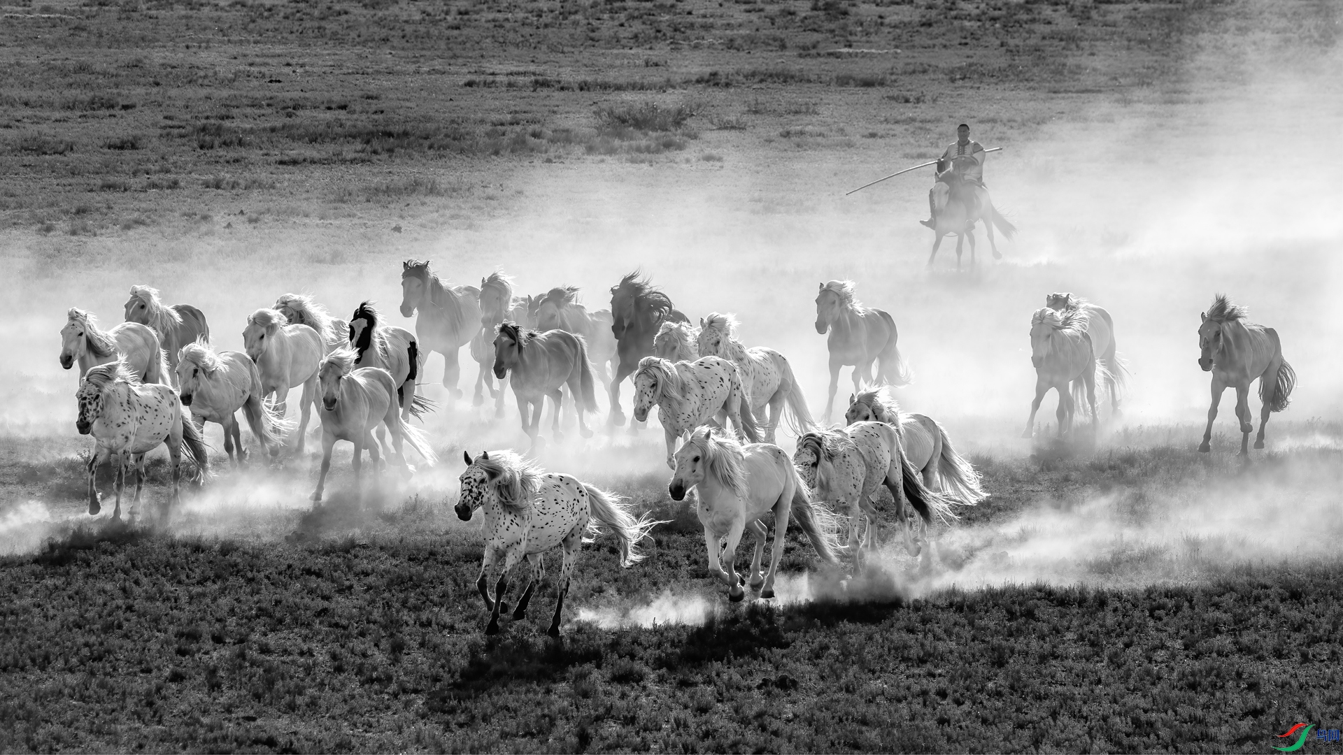 ������ ���質�� ��־����.jpg