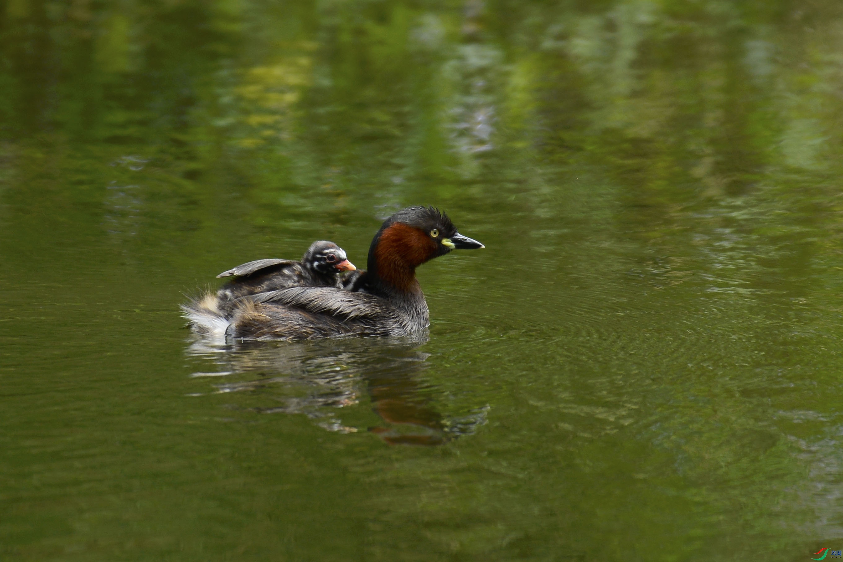 �����Ǵ��������ǽ���������Զ���ķ�