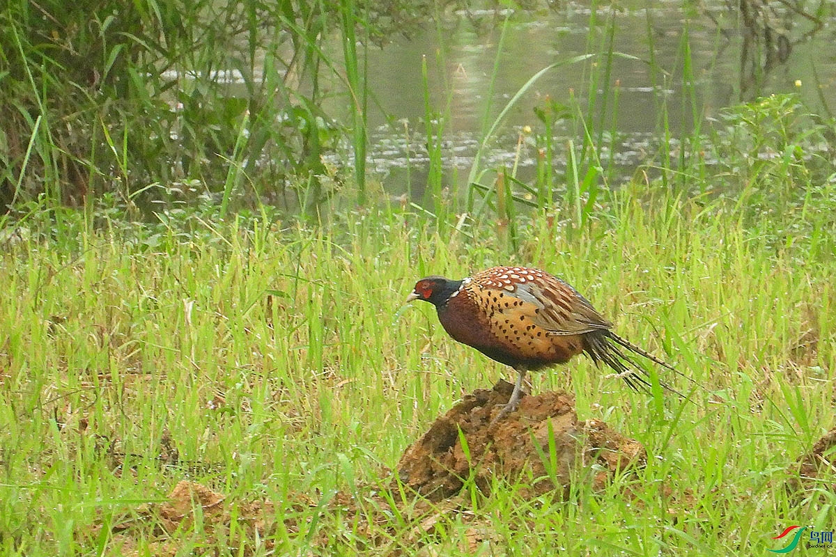 DSCN0722.jpg