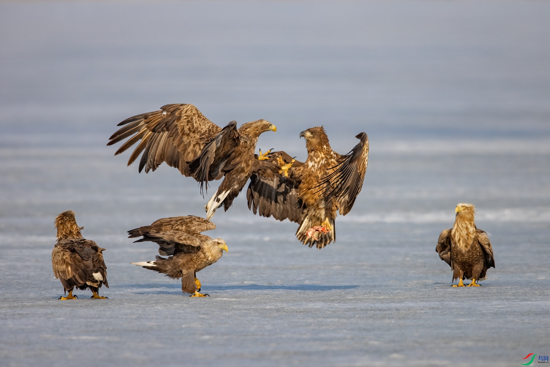 274A6745 (3)_����.jpg