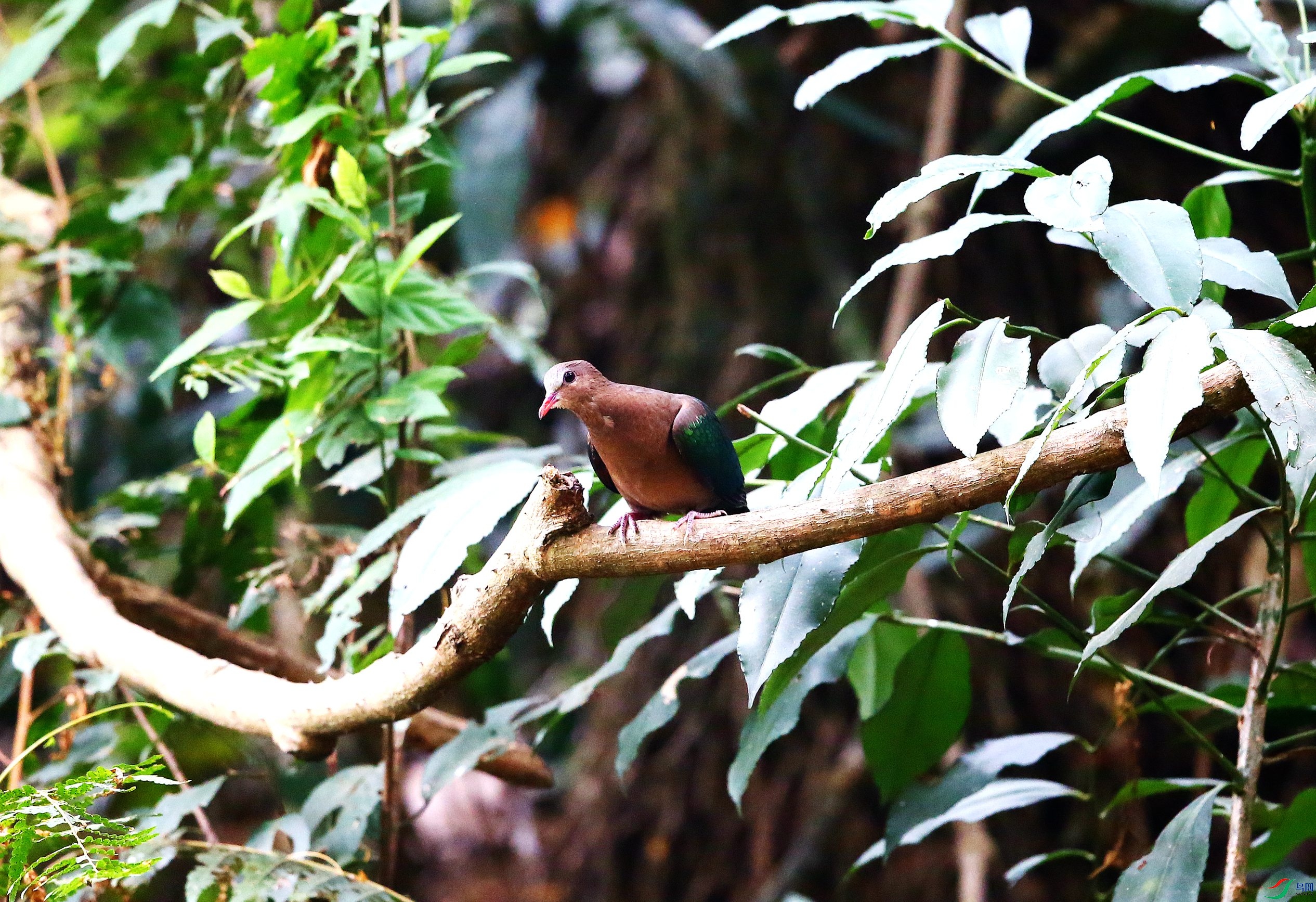 �̳��� (2).JPG