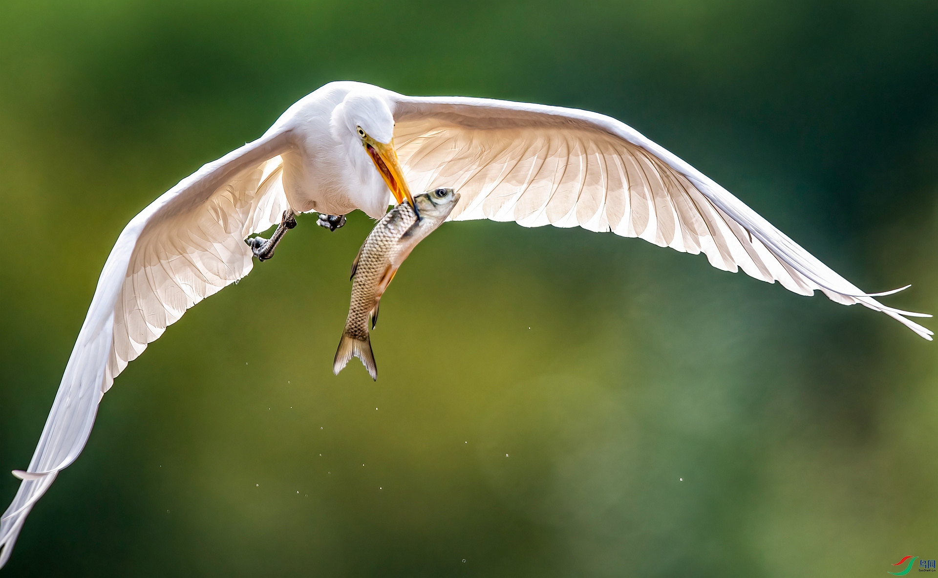 DSC_2580 ����_����.jpg