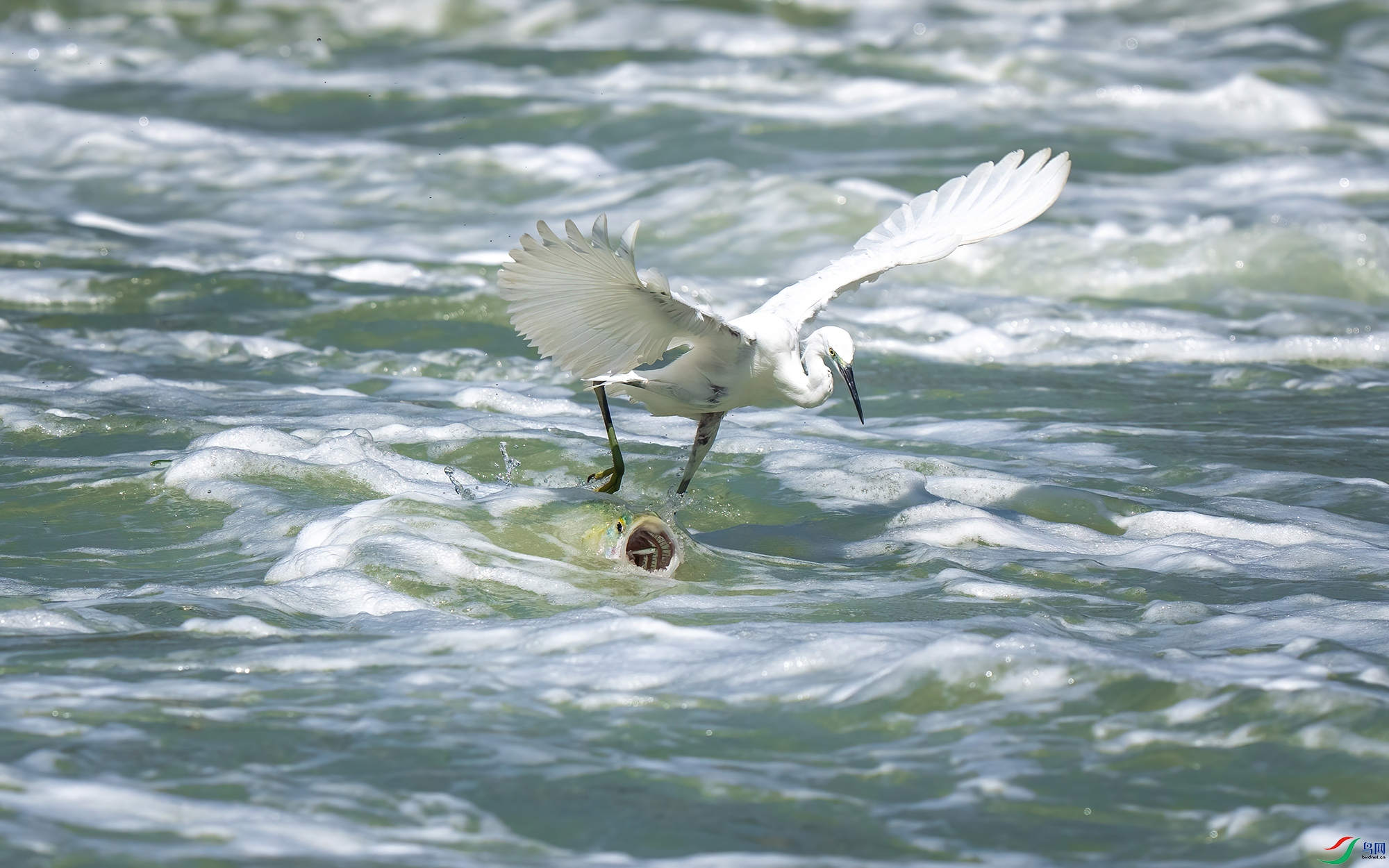 ����ǿʳ_DSC1299.jpg