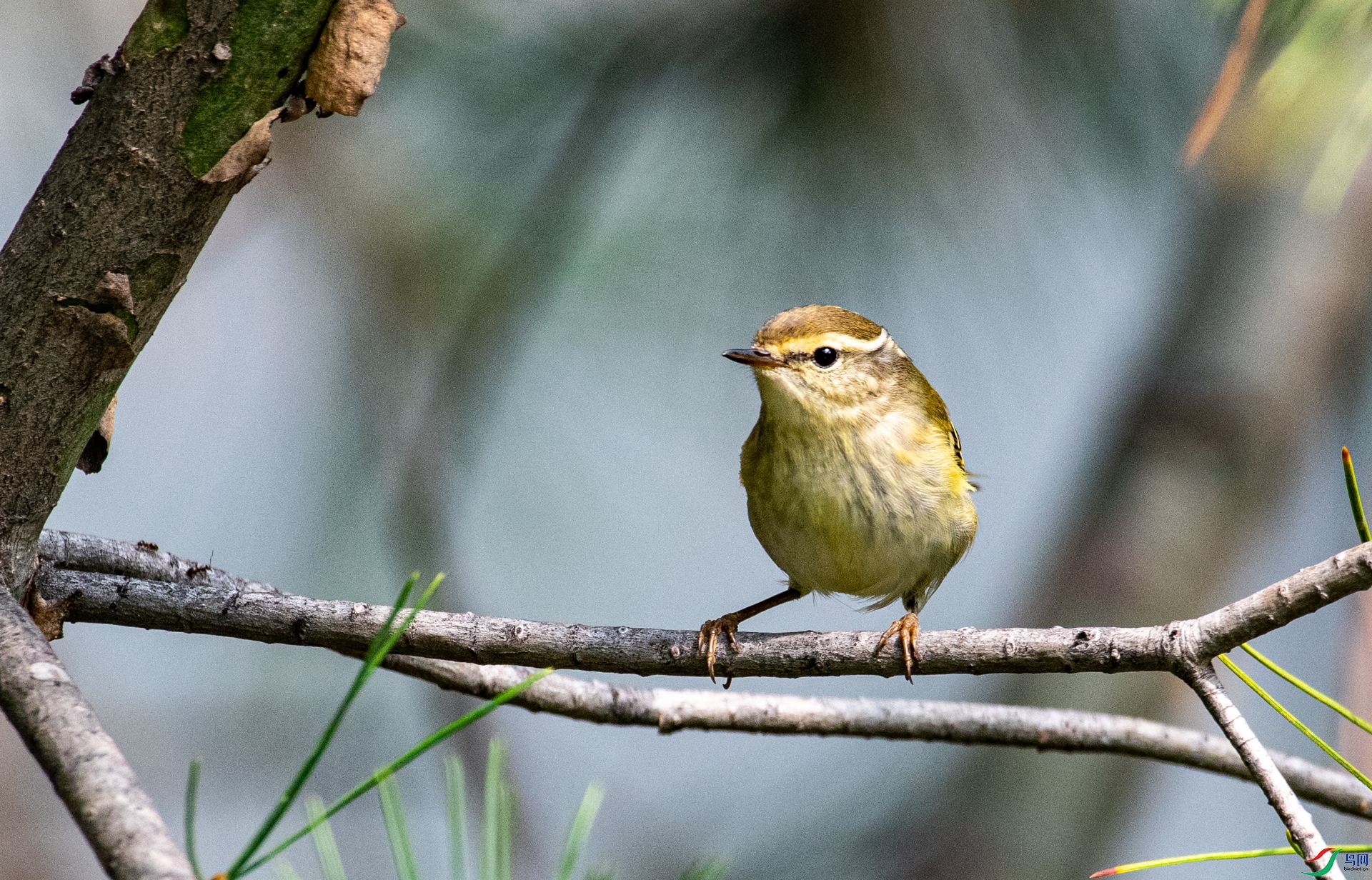 DSC_2306_1.jpg