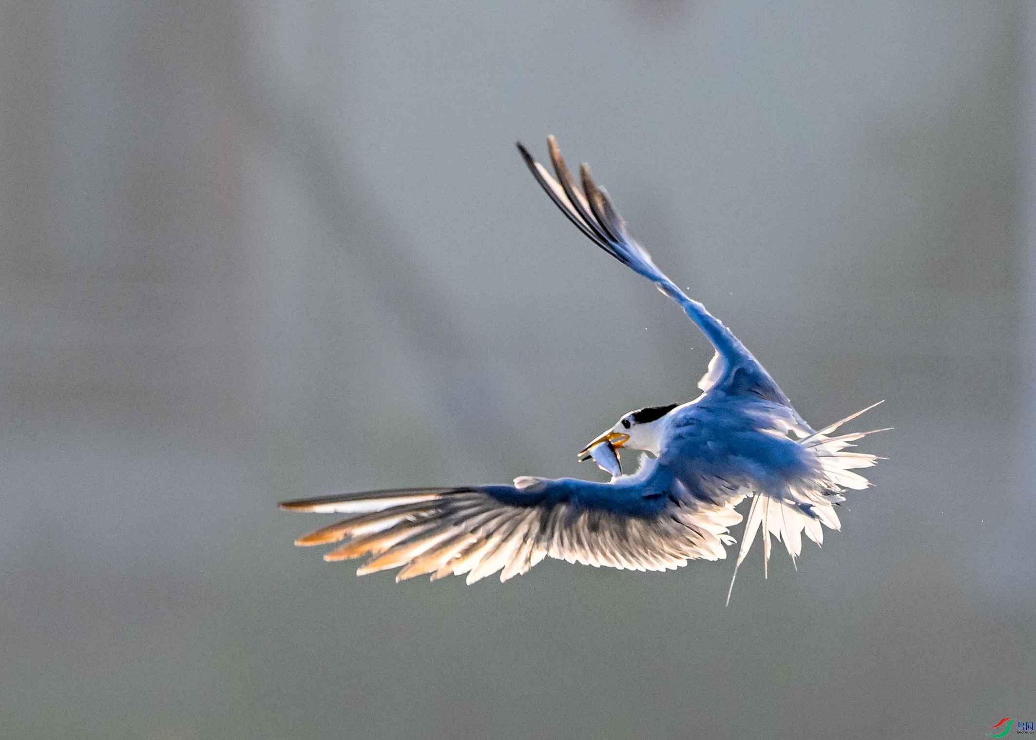 5560 ����.jpg