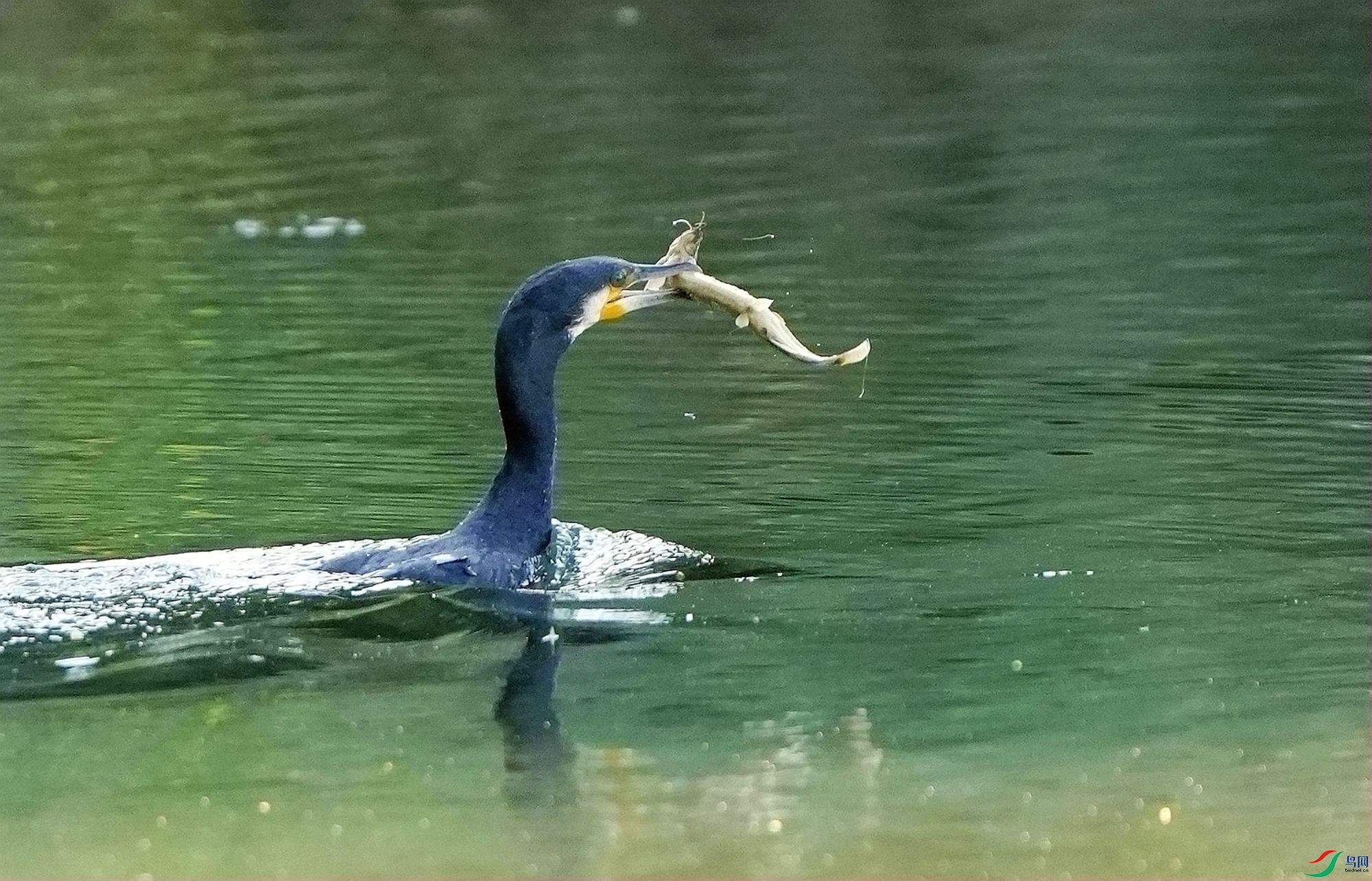 ϲ������DSC03182_����.jpg