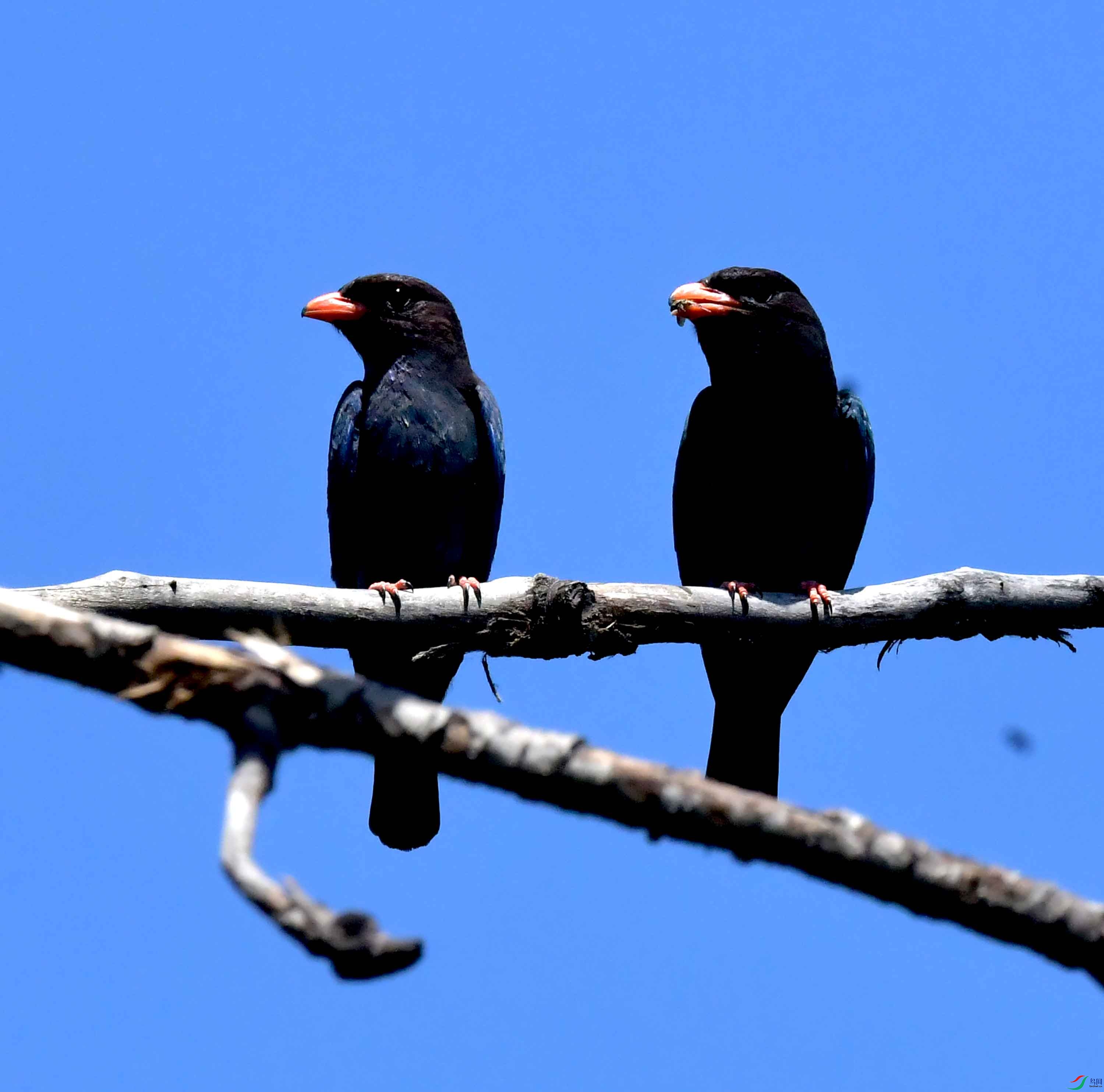 DSC_7386.JPG