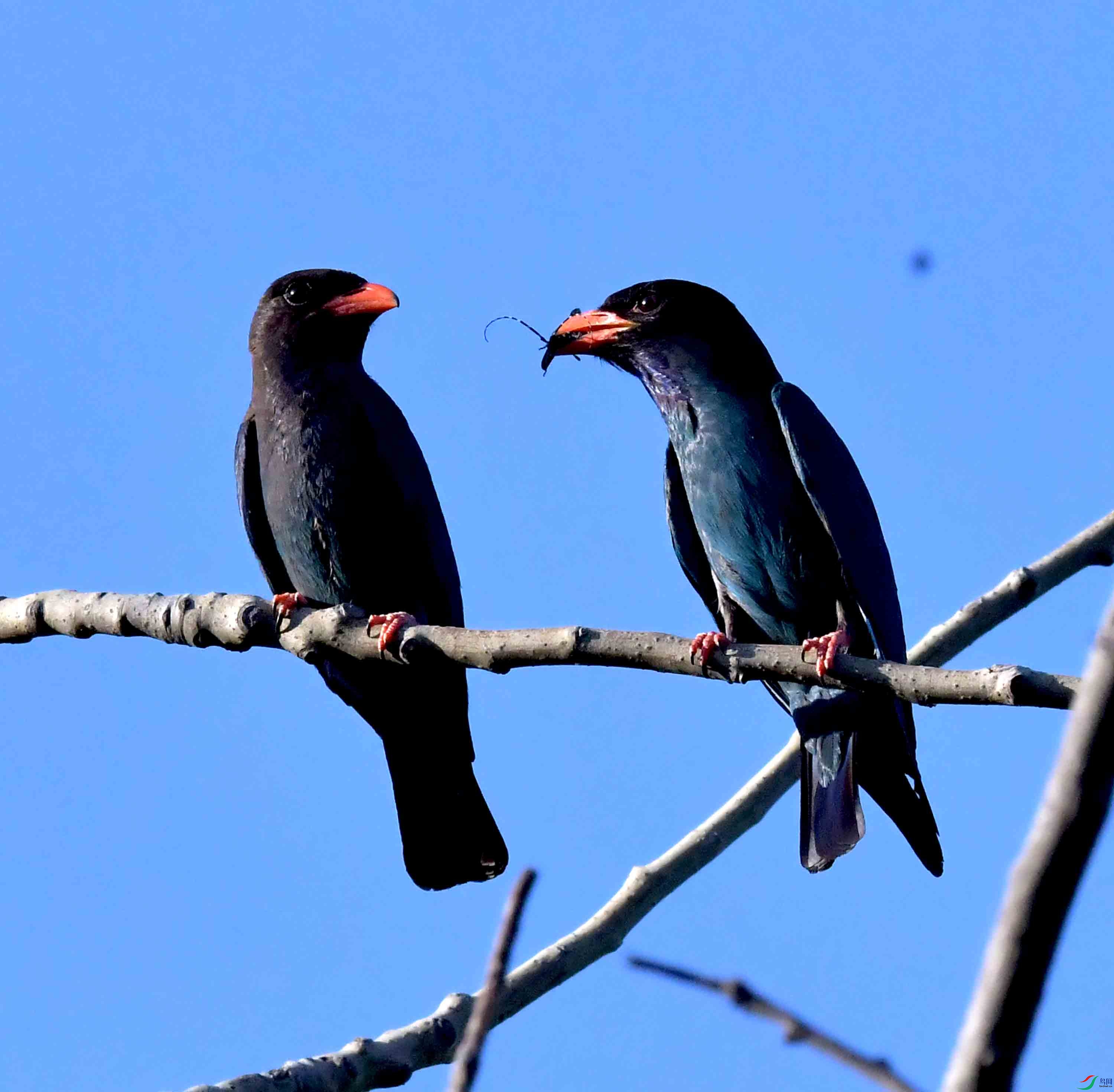 DSC_7690.JPG