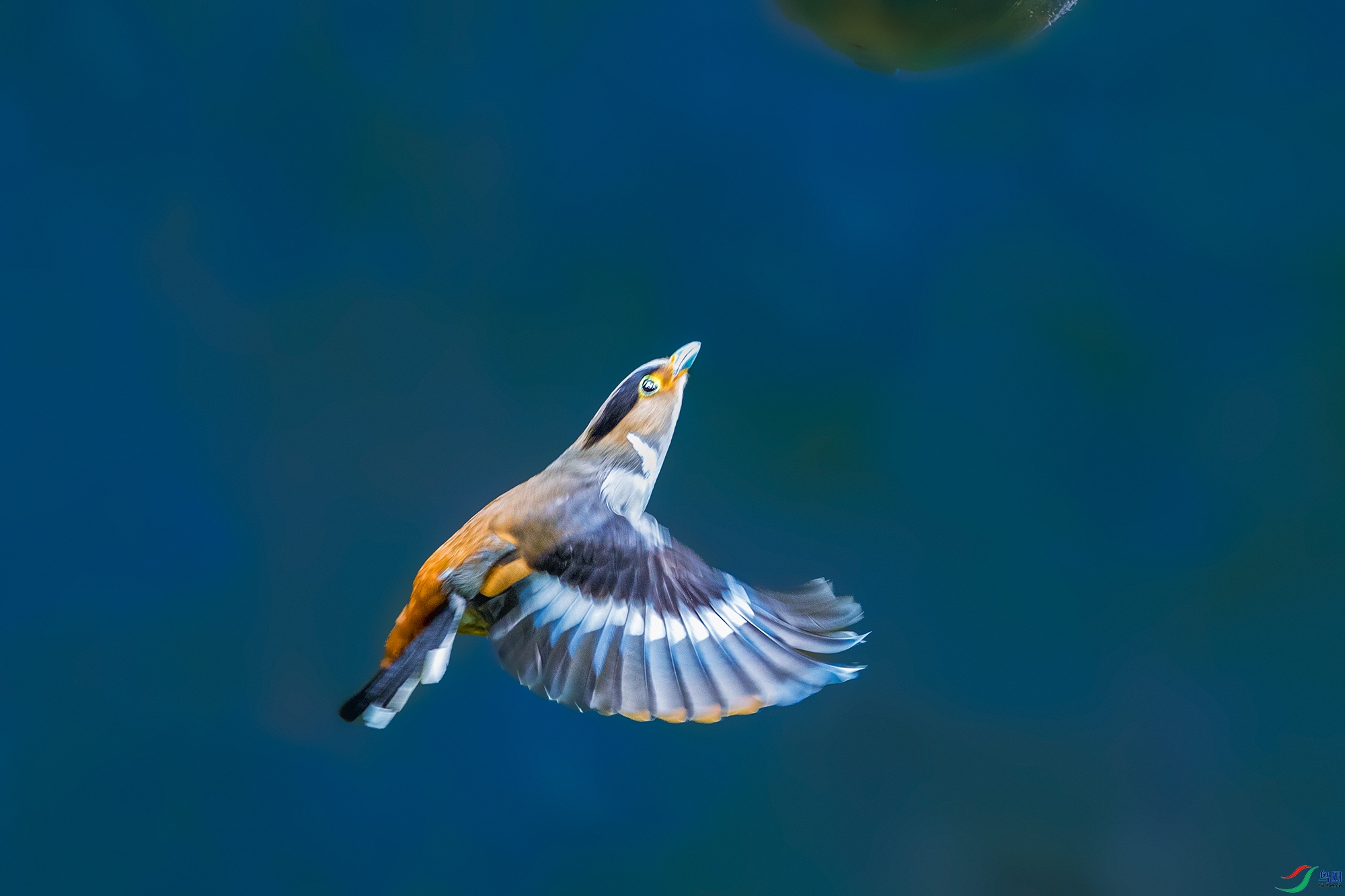 ����˿����----����Ŀ��