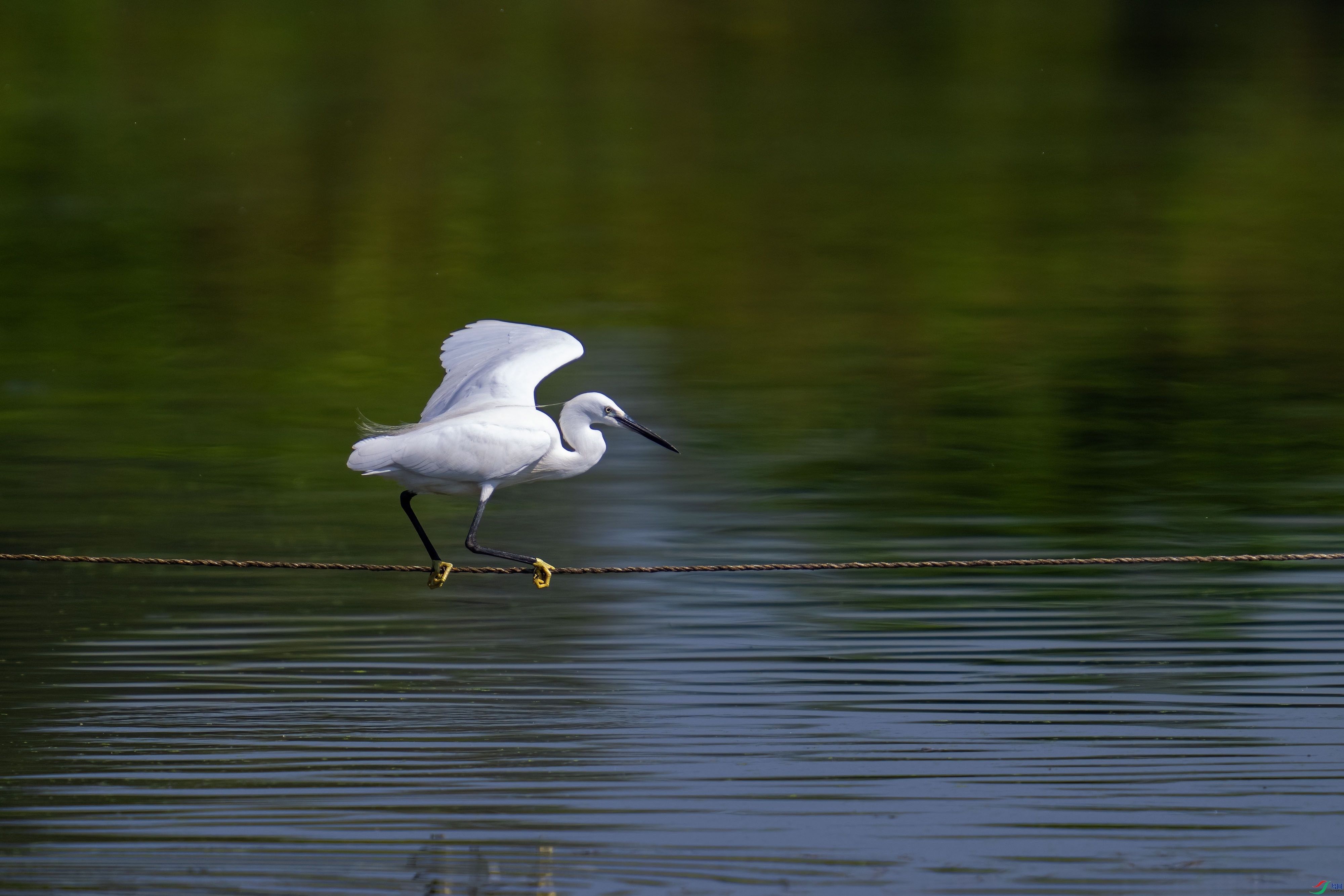_DSC3303-1.jpg