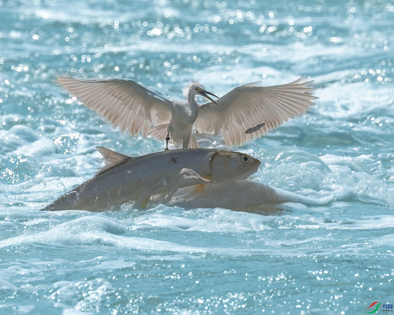 DSC_4184.jpg