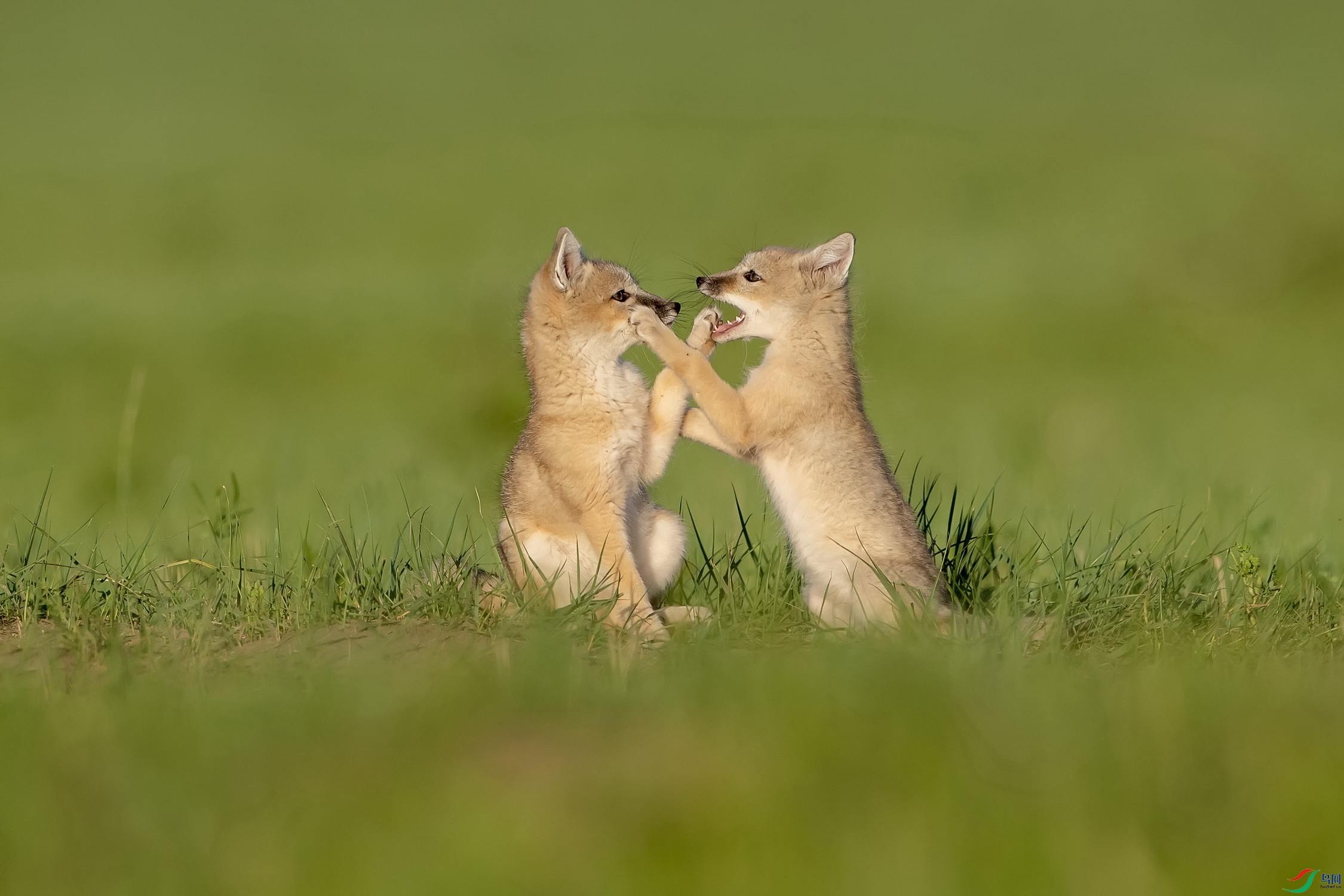 SEAH0492_������С.jpg