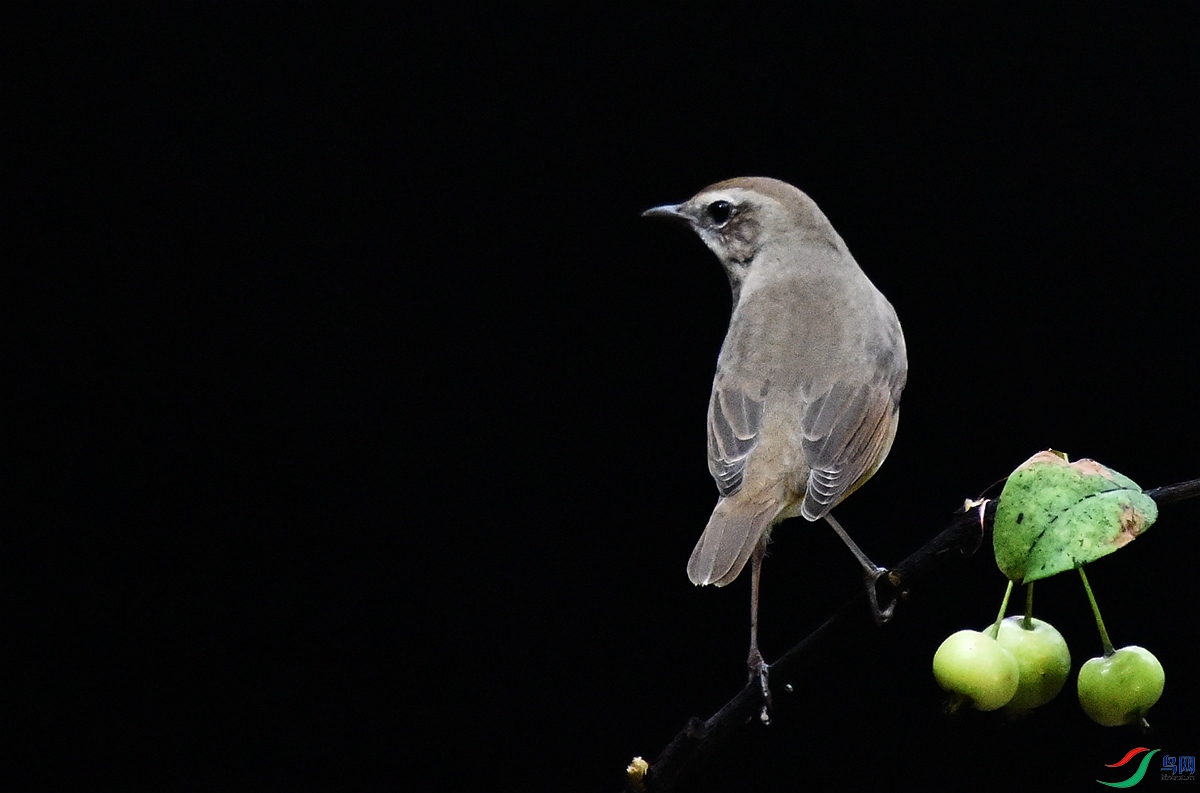 DSC_2408.JPG