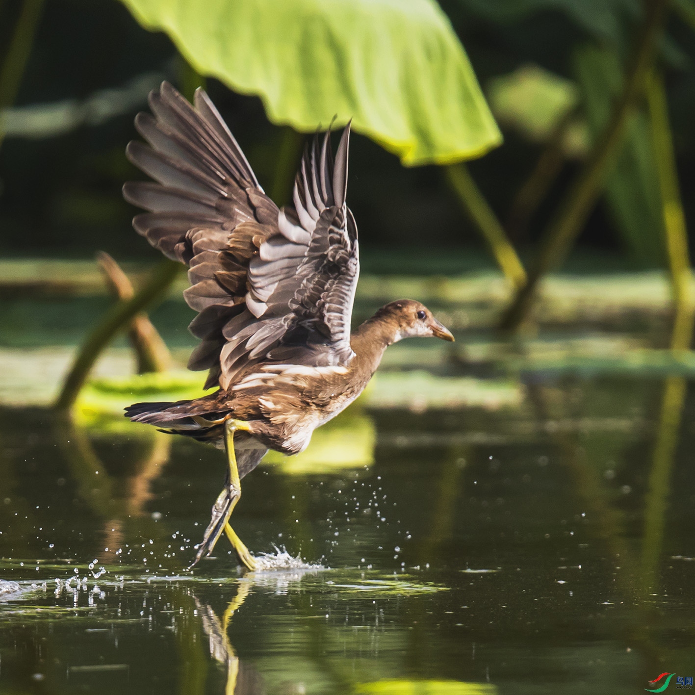 _90I3891 ����.jpg