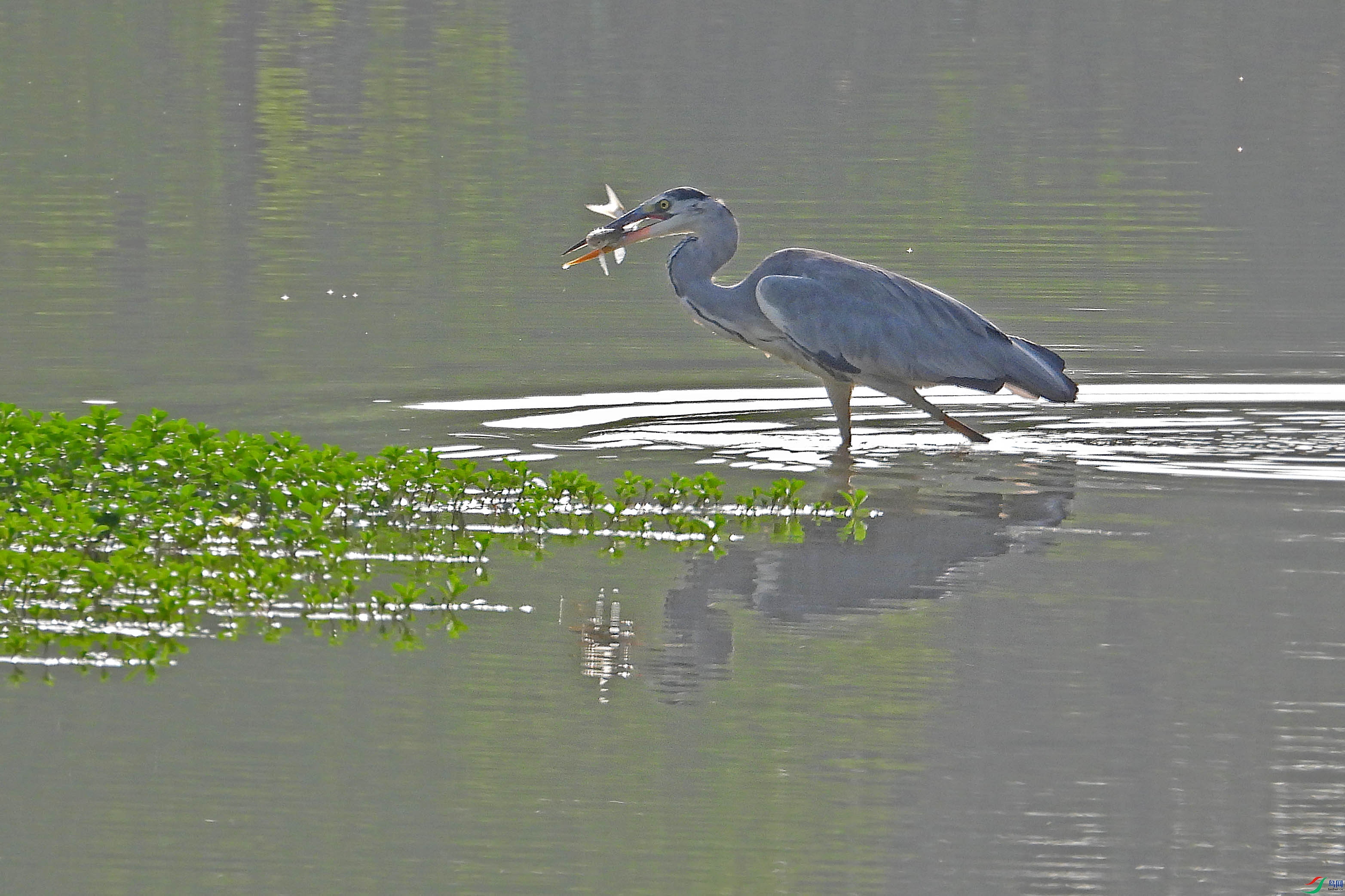 DSCN8895.JPG