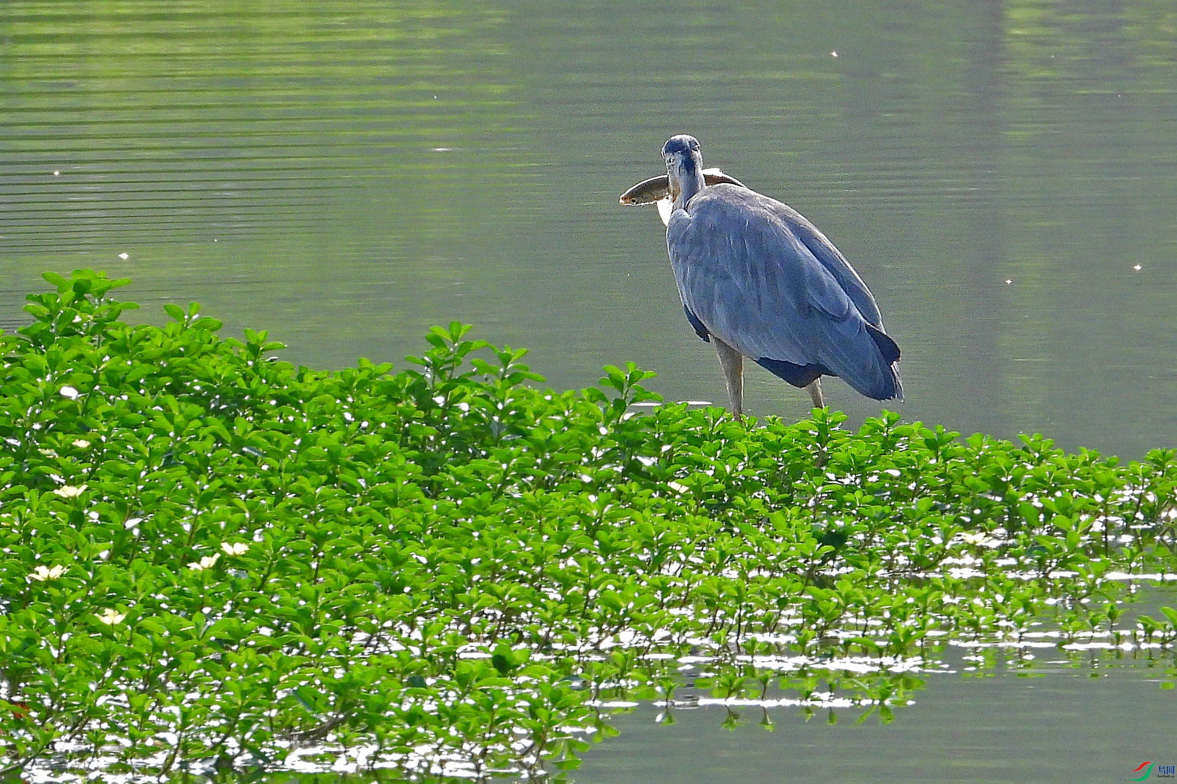 DSCN8906.JPG