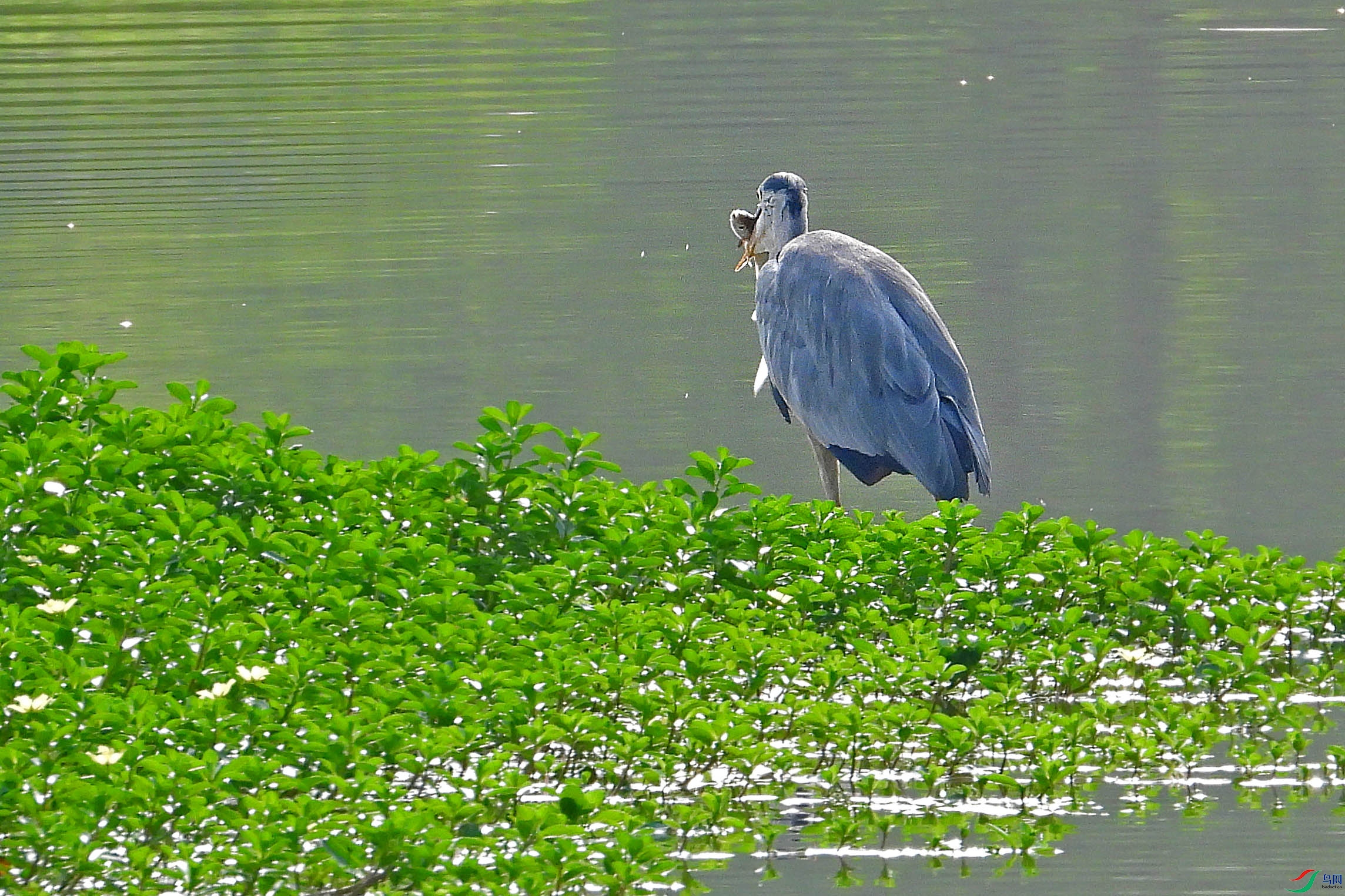 DSCN8909.JPG
