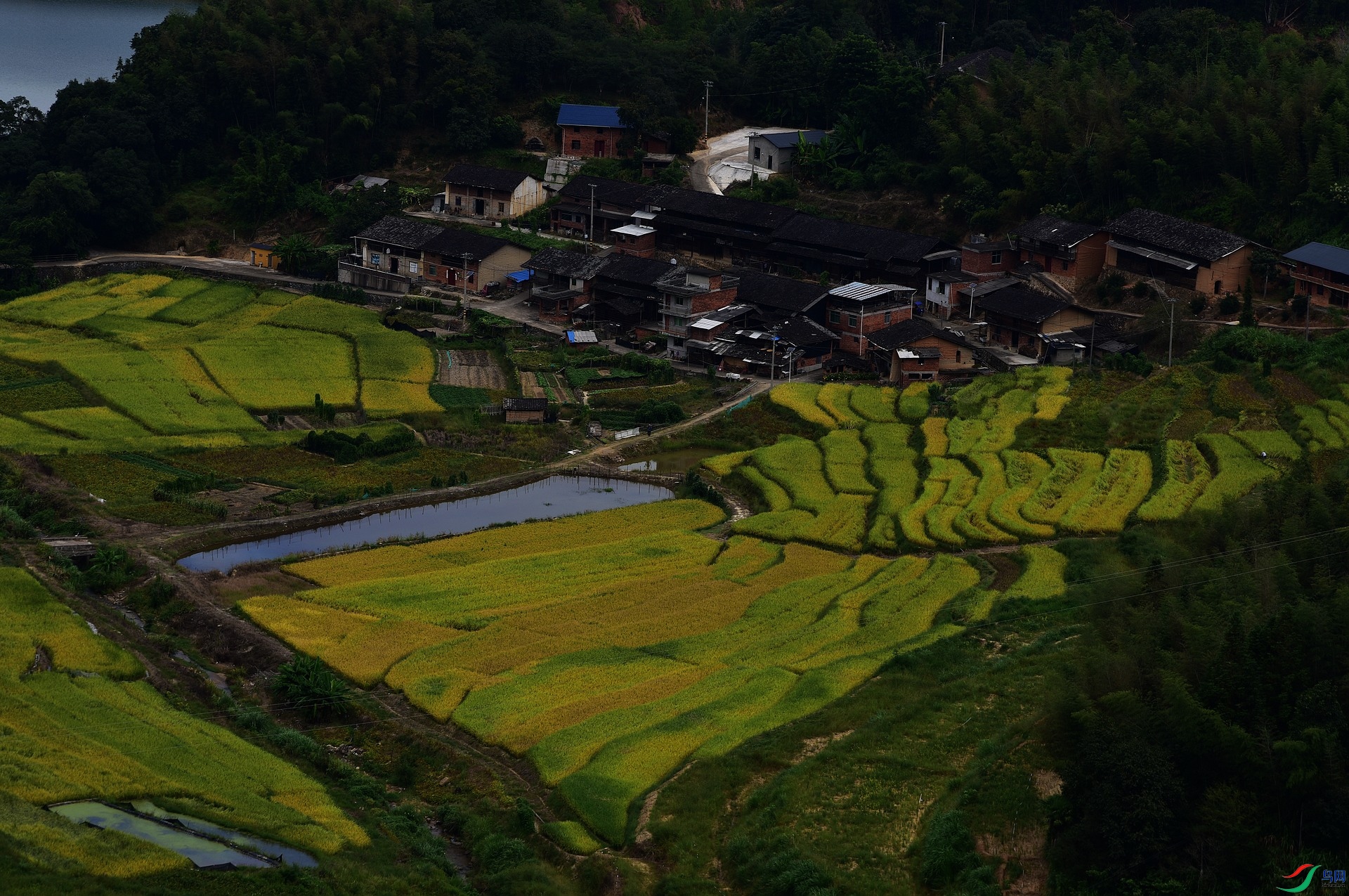 D8I_4877.jpg