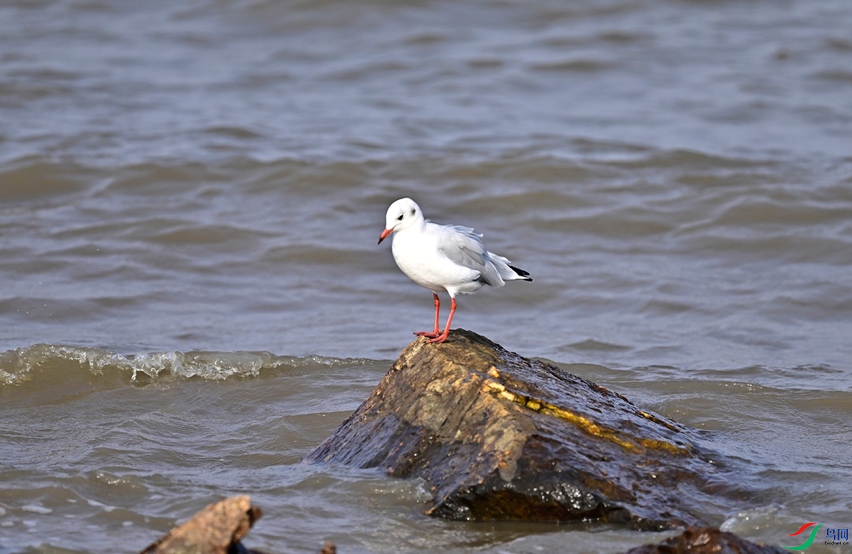 _DSC6417f_��ͼ��.jpg