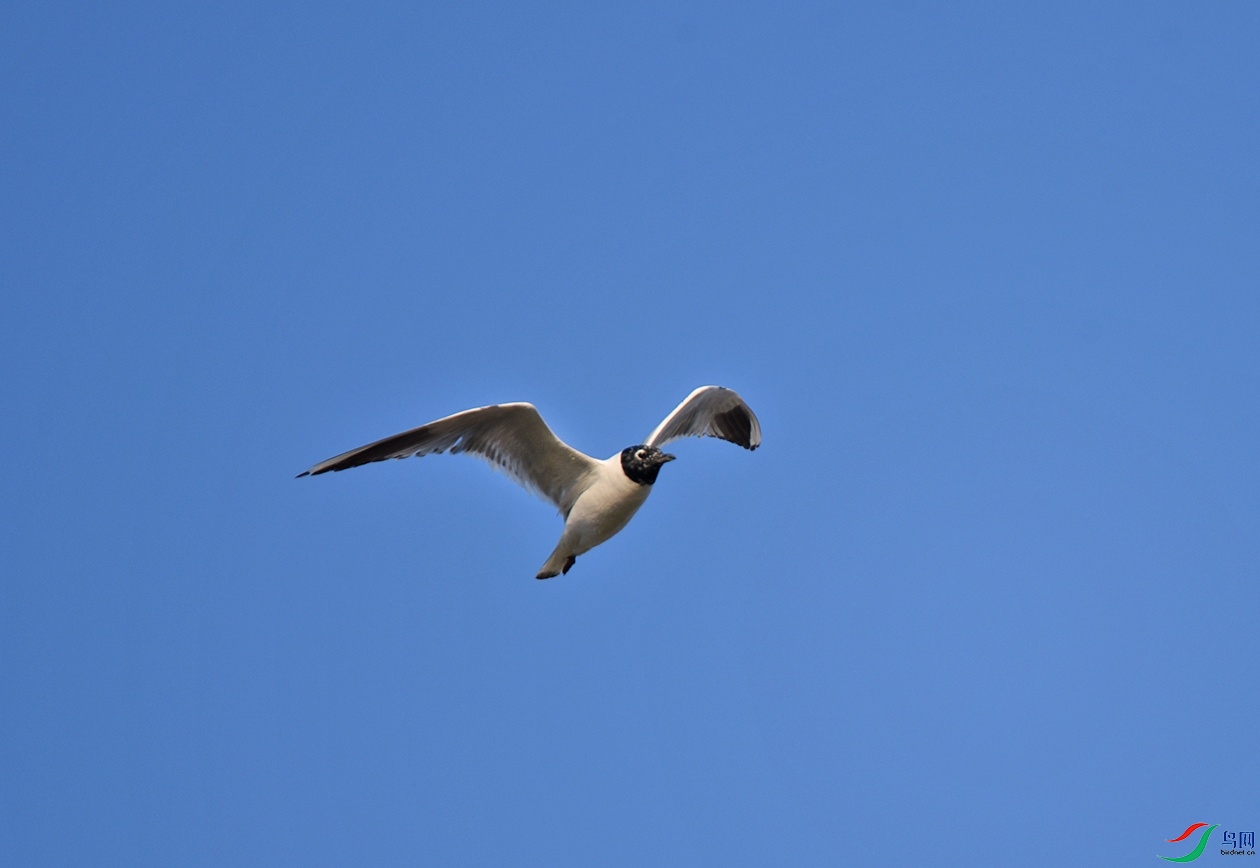 DSC_4108.jpg