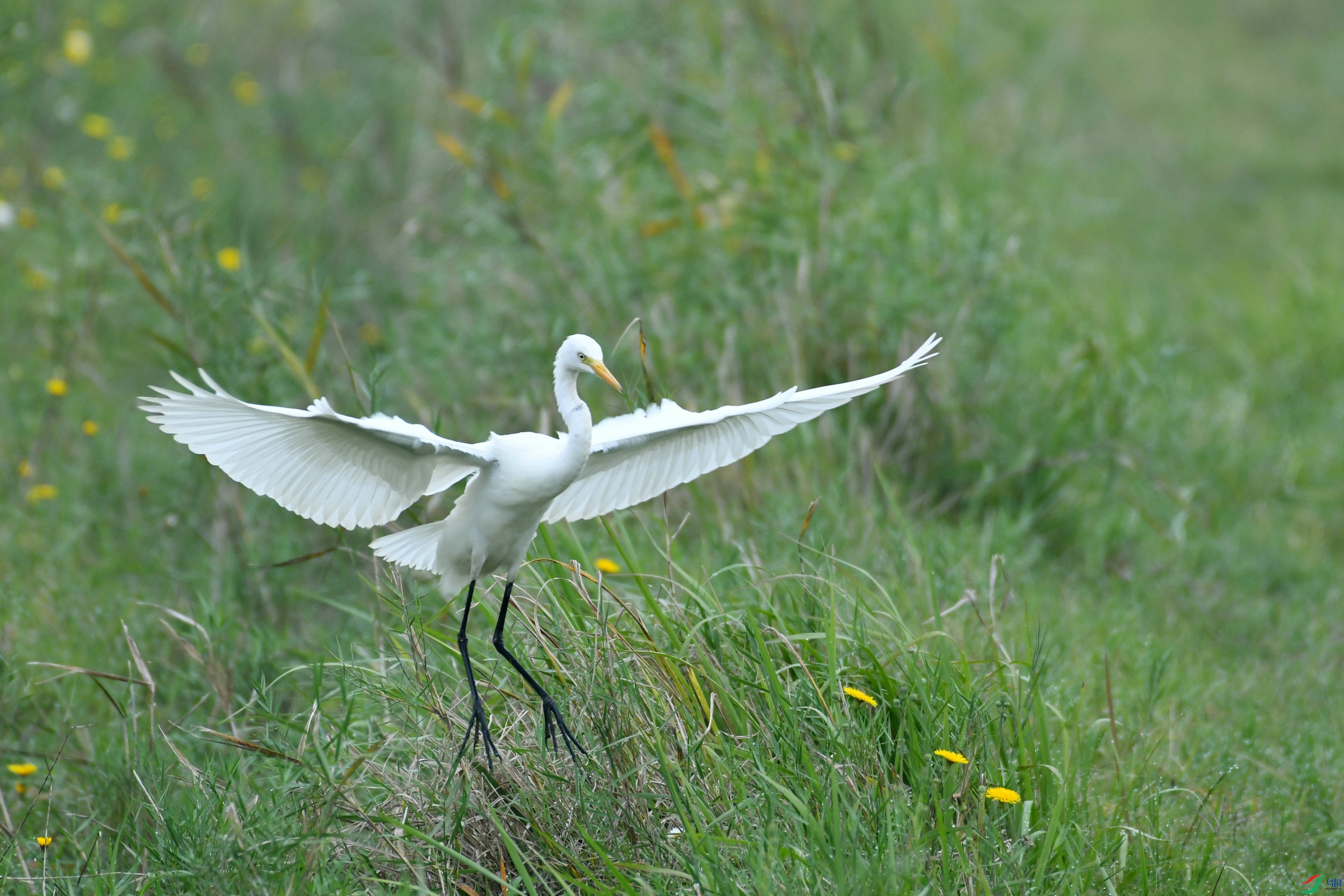 DSC_2802.JPG