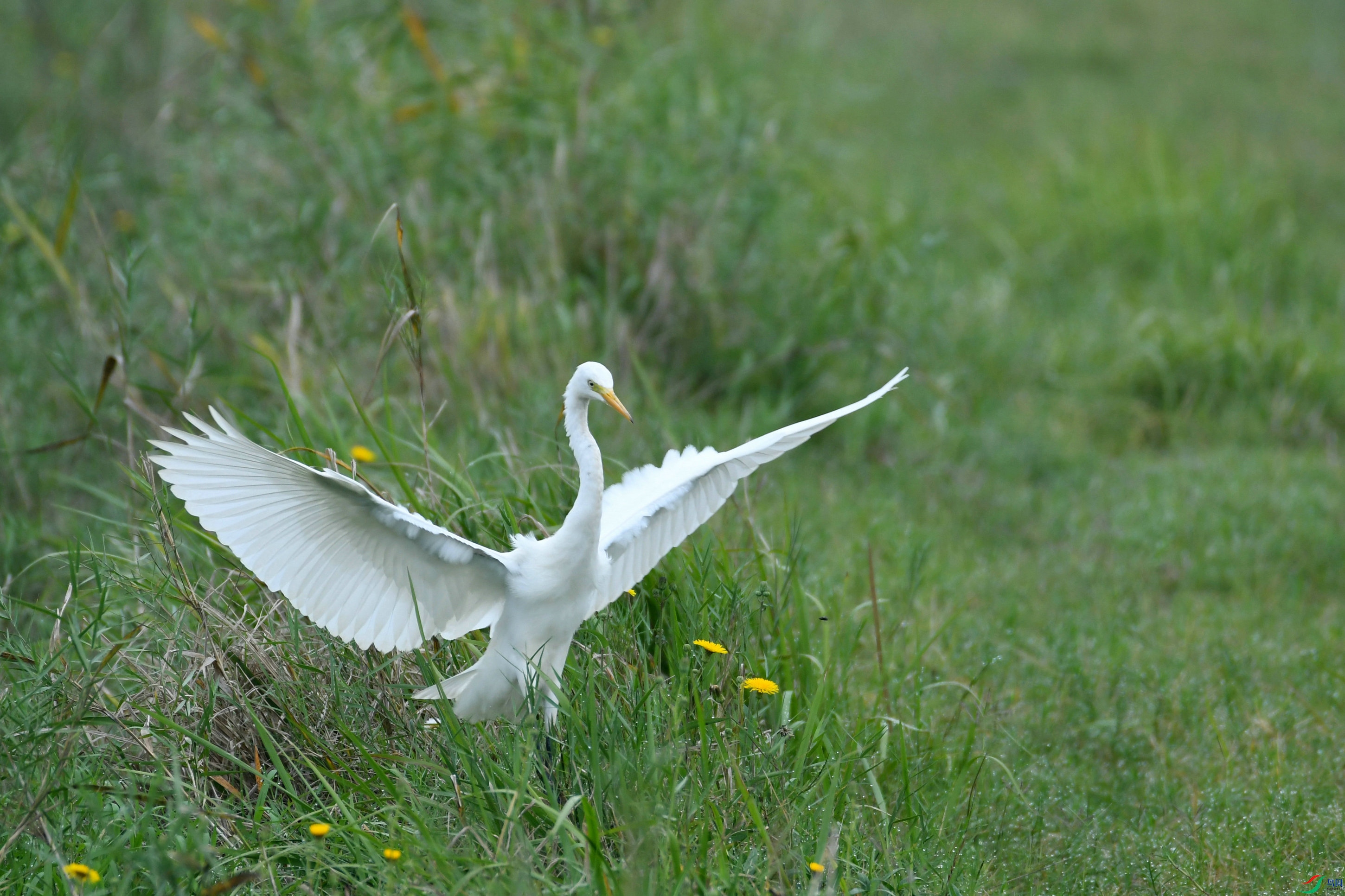 DSC_2805.JPG