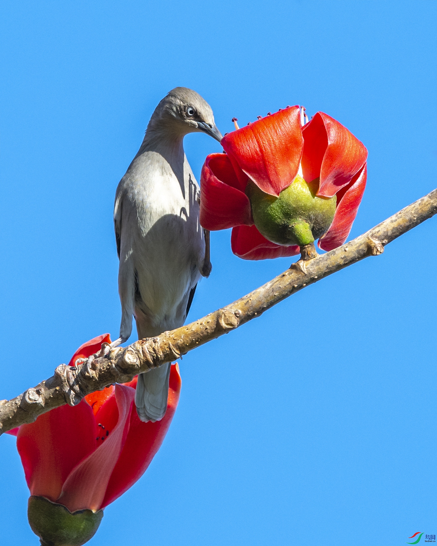 8983 ����.jpg