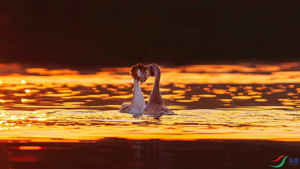 hnsqR230225 (6750)_DxO.jpg