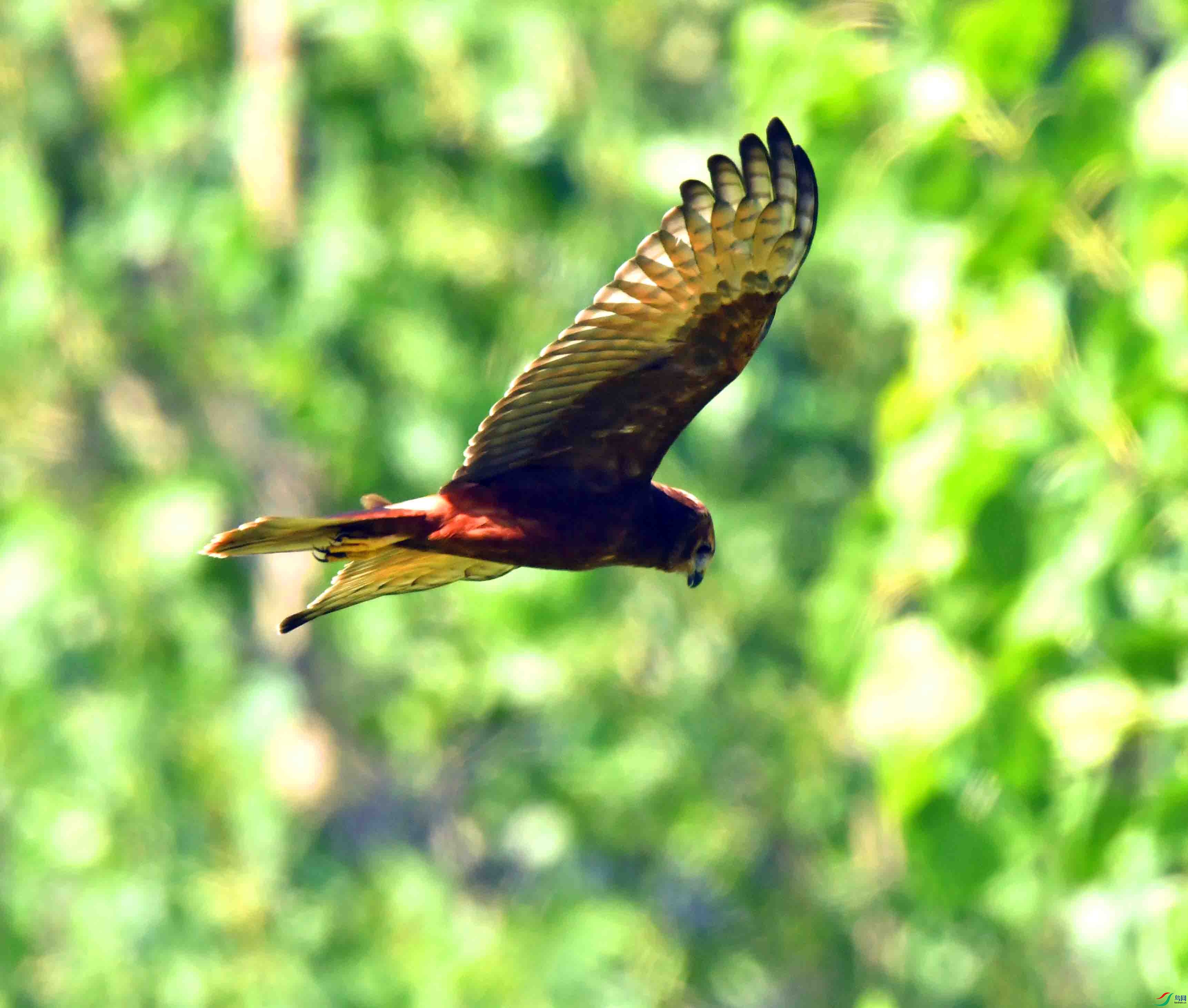 DSC_8579.JPG