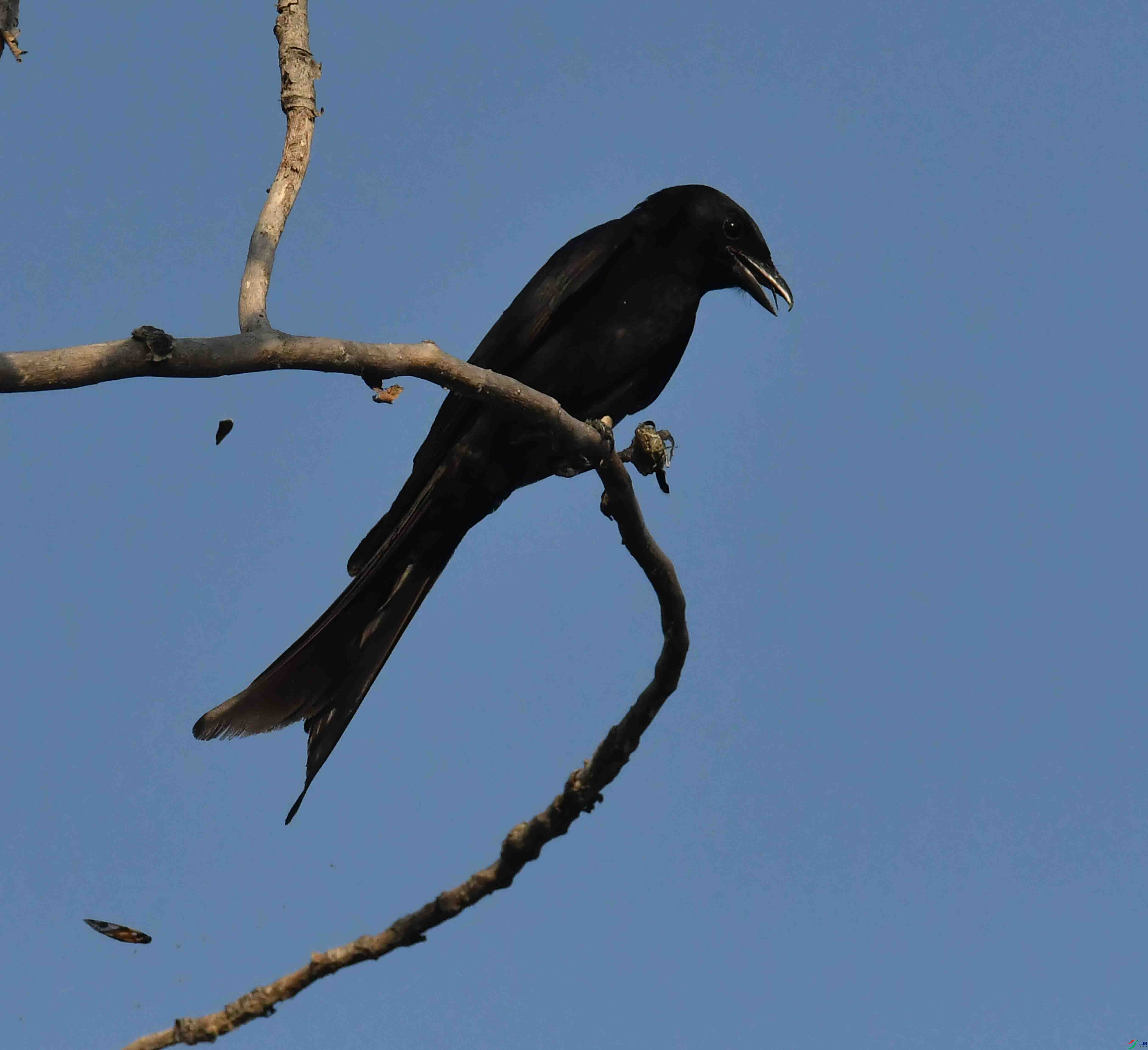 DSC_0014.JPG
