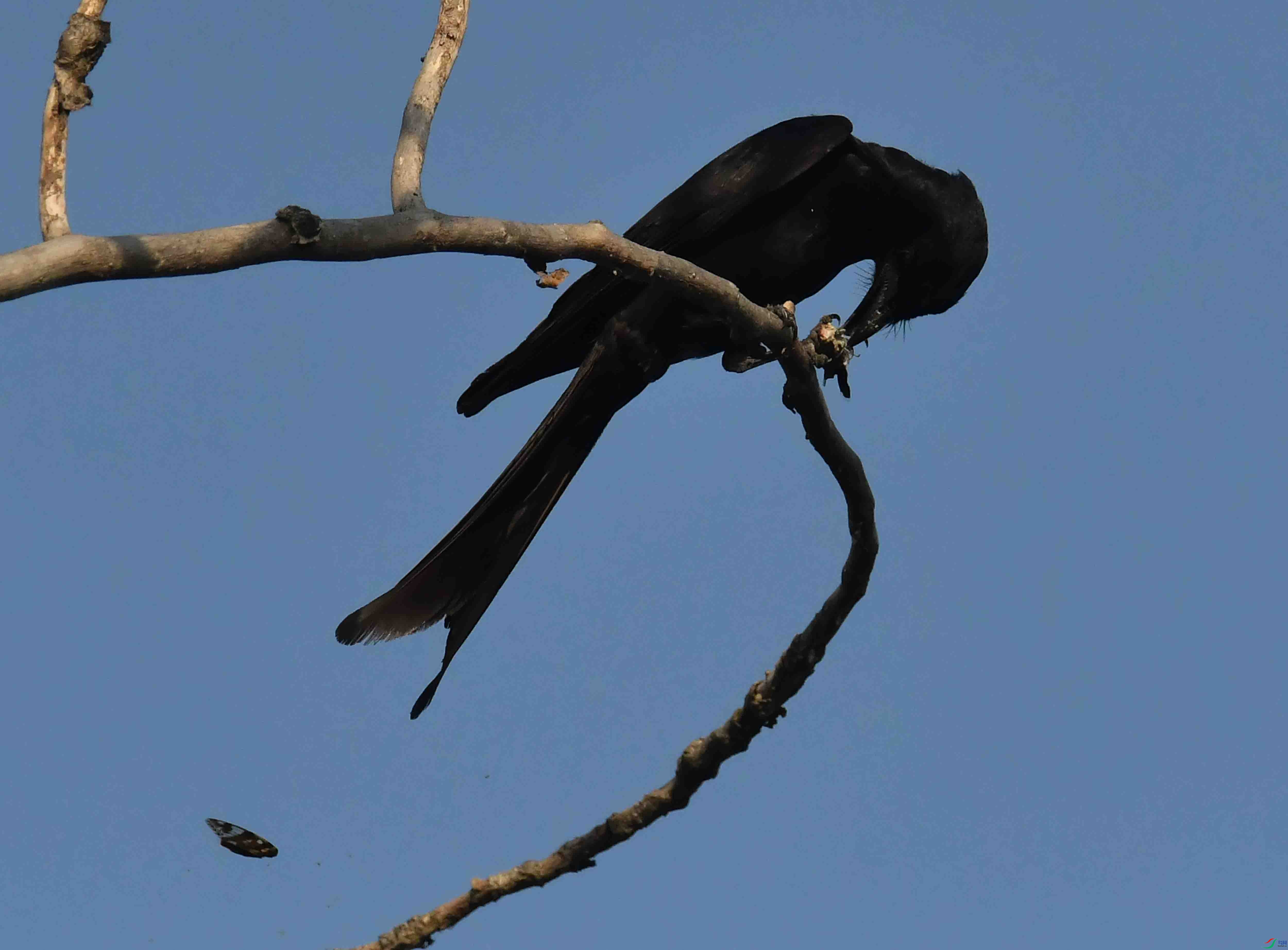 DSC_0028.JPG
