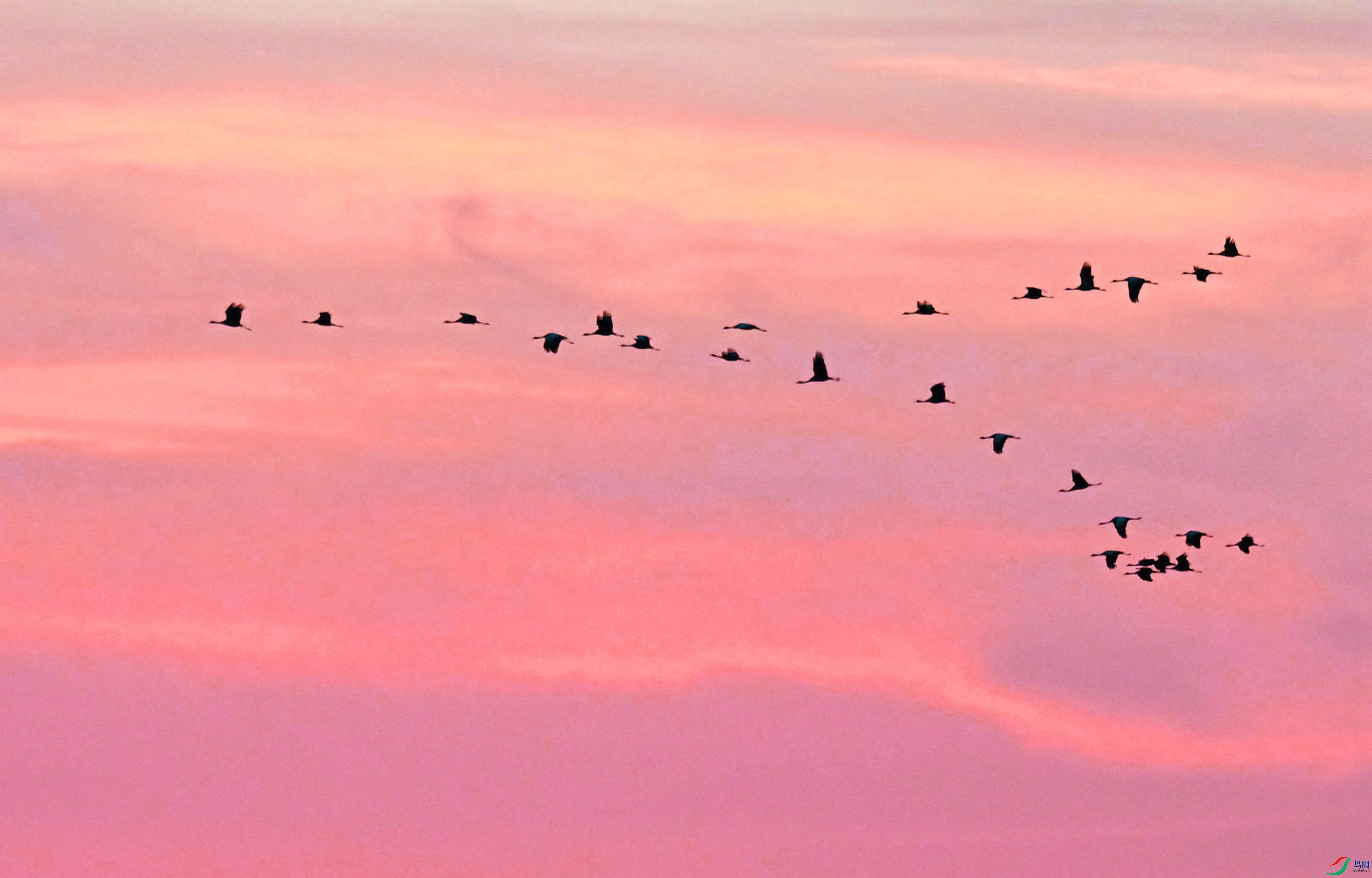 ϼ���е�����ס�