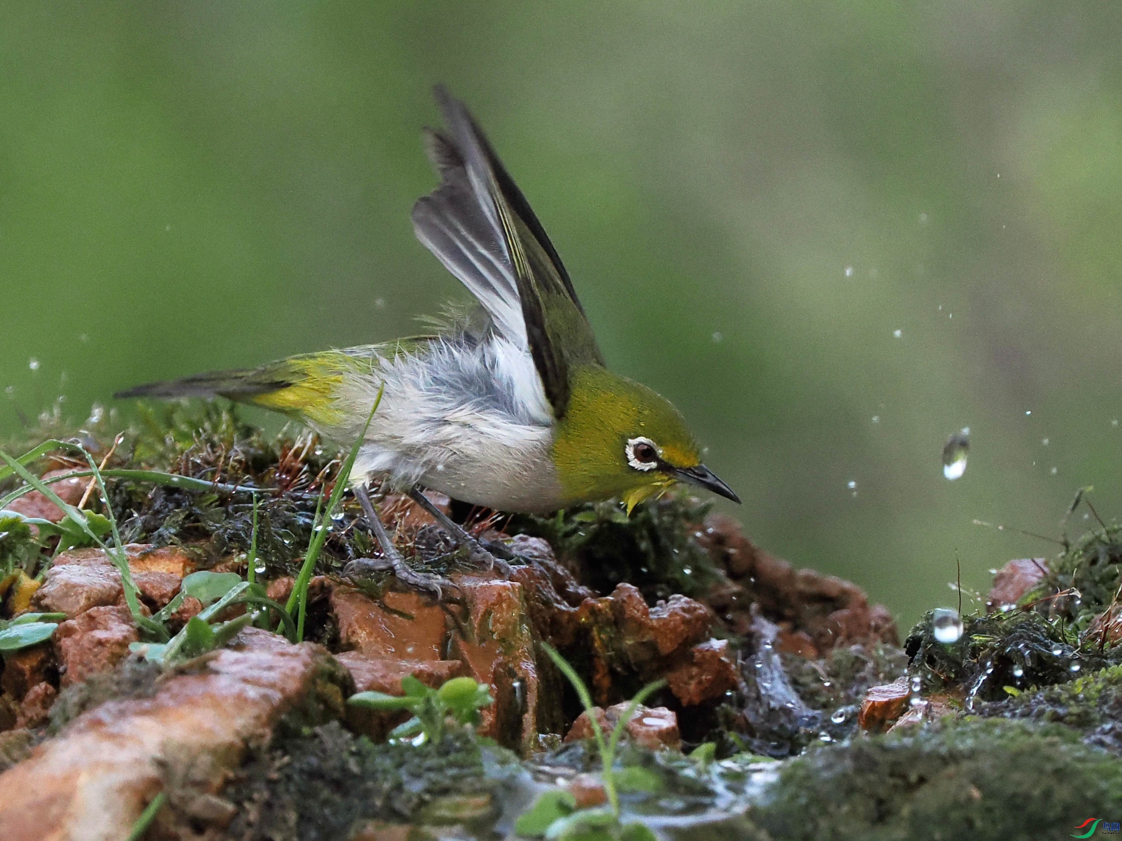 �峿��������ˮ����ԡ