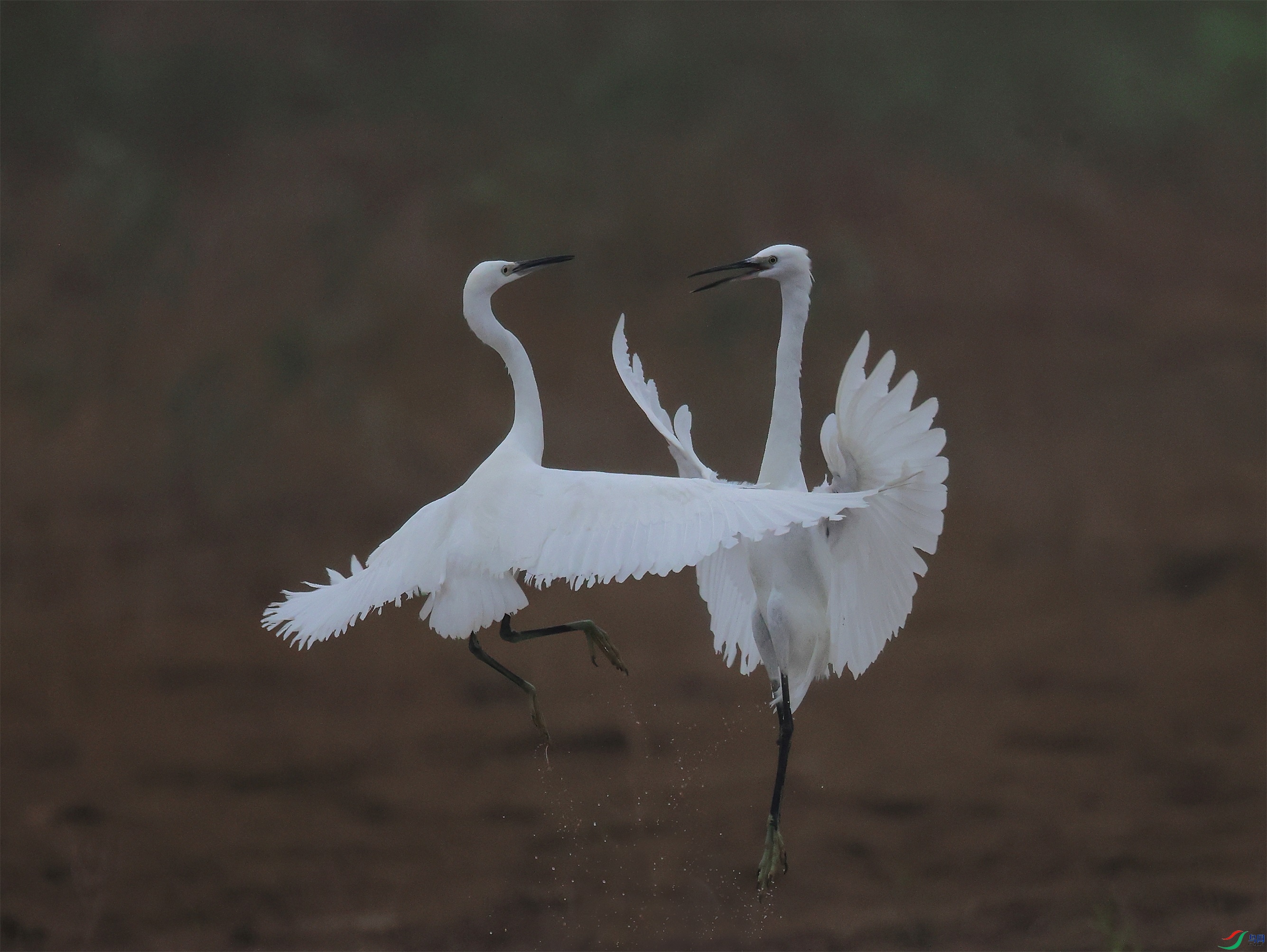 3 - ����.JPG