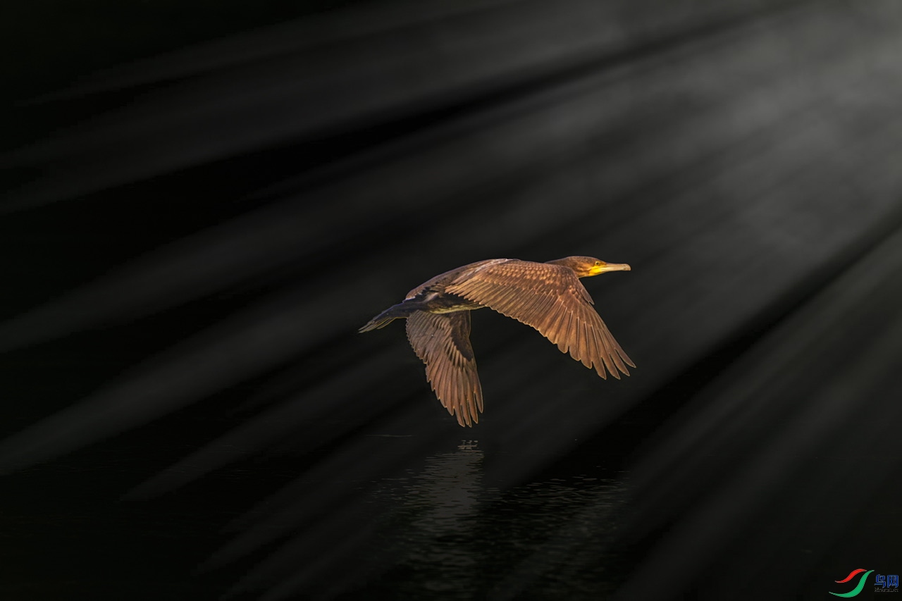 DC788423-26E8-4085-9D98-137C0761D9DF.jpeg