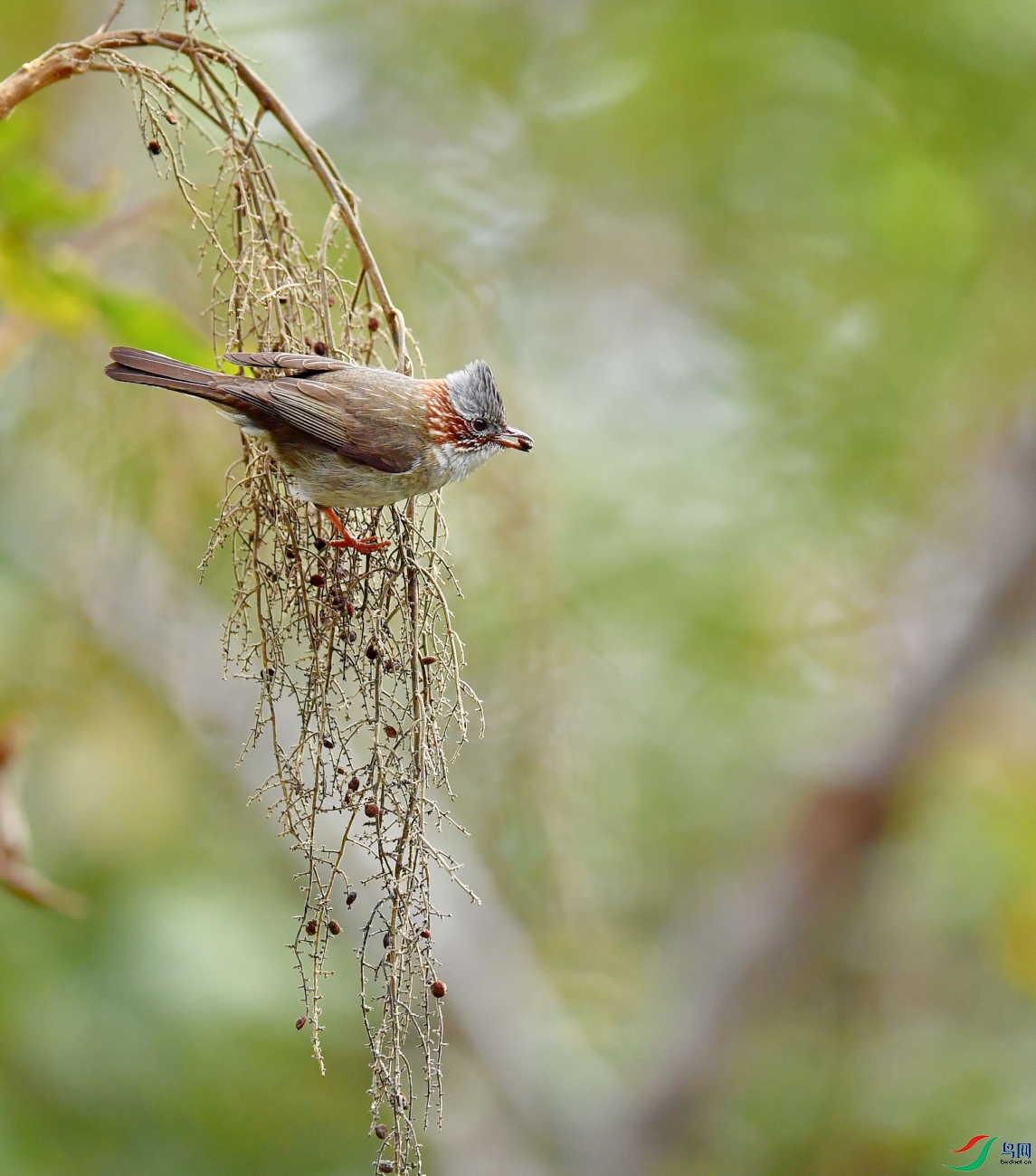 DSC_4787_01.JPG