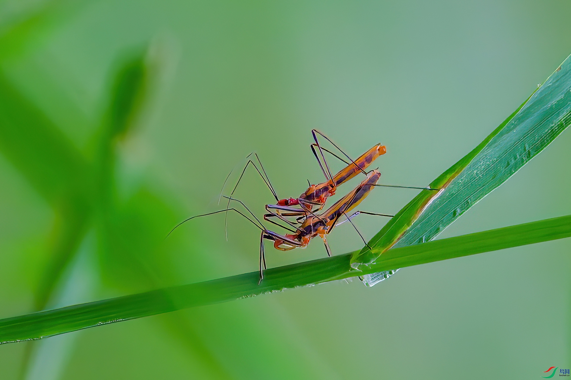 _MG_5895.jpg